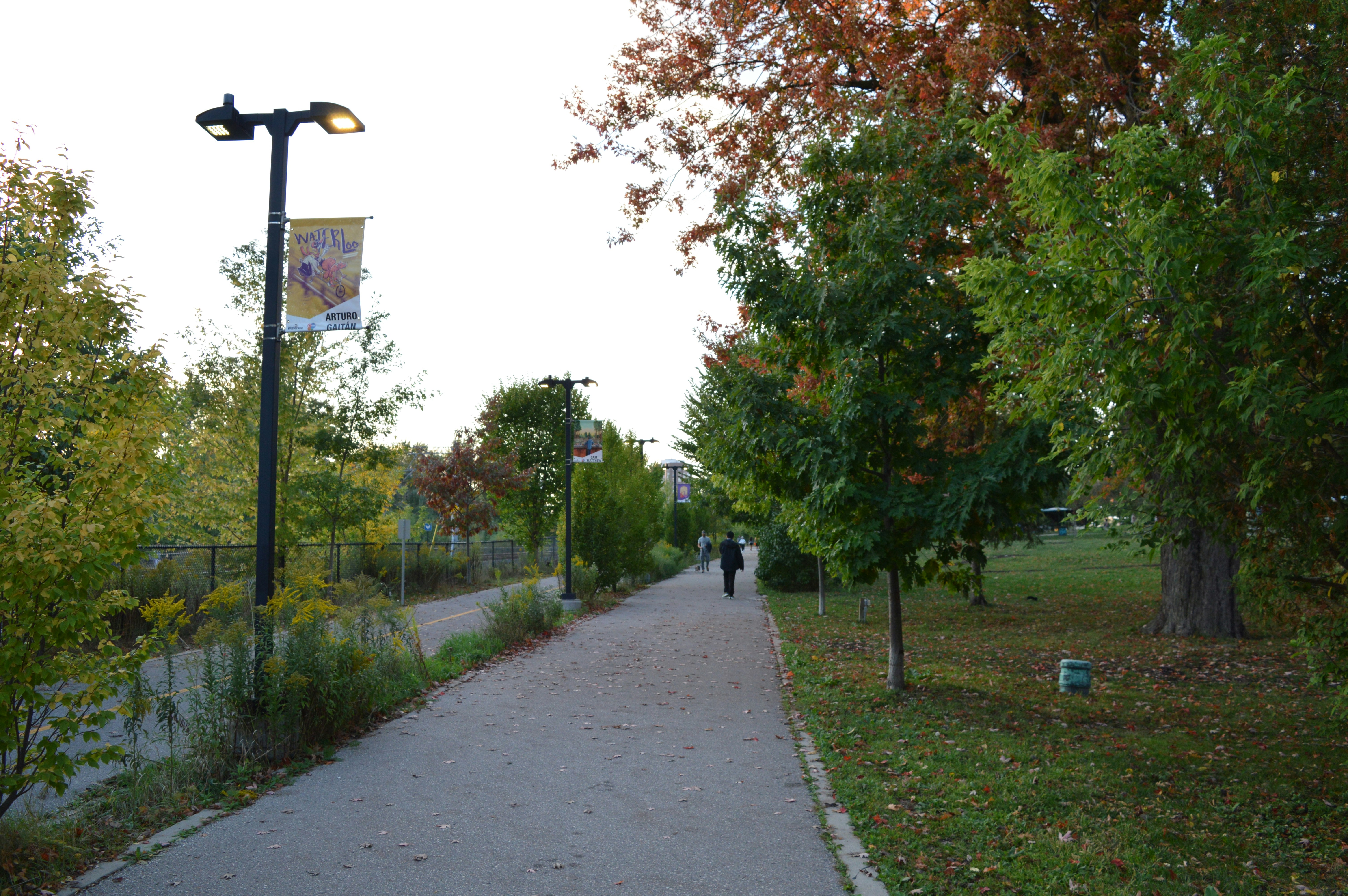 A person walks on a paved path through trees.