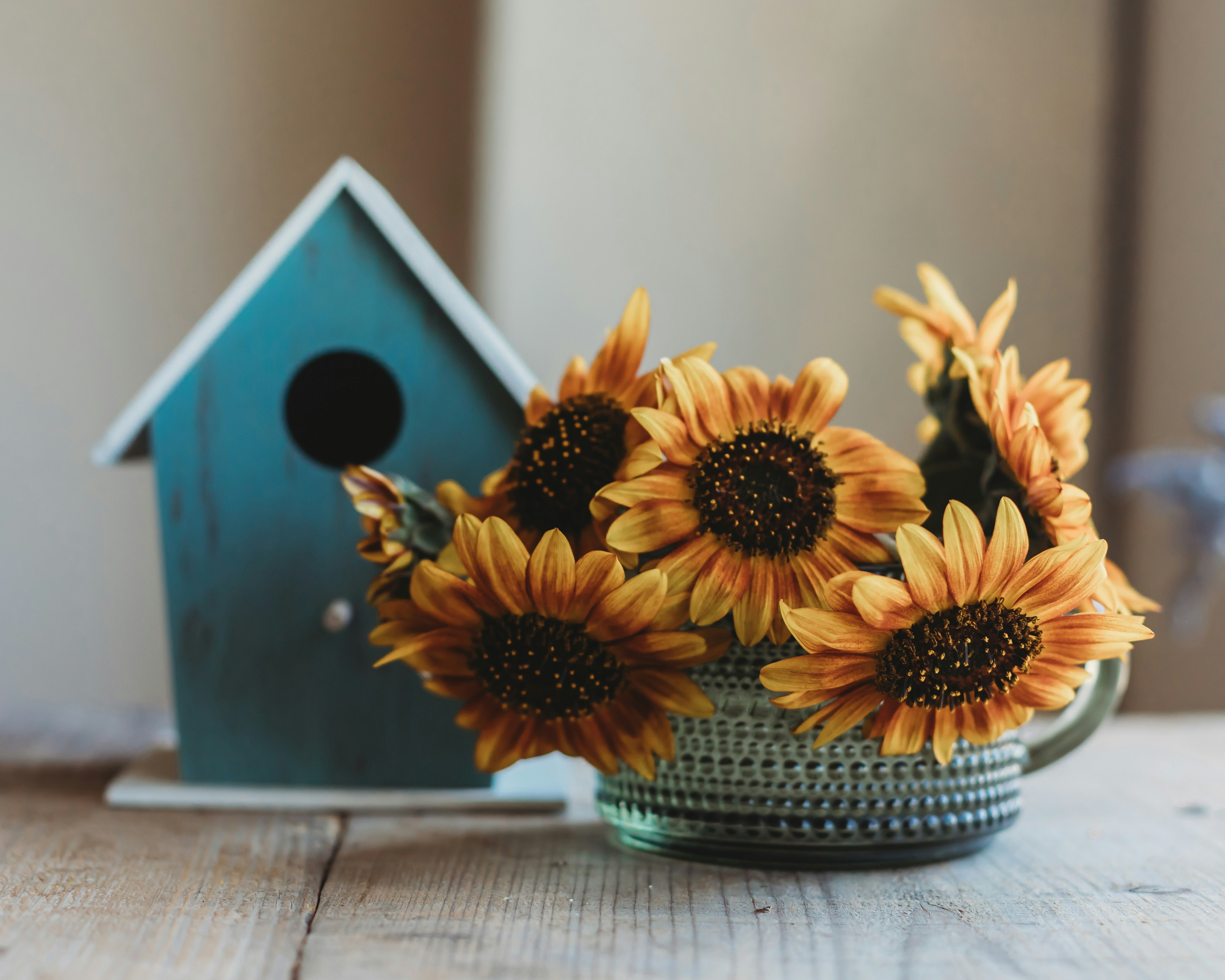 Photo by sixteenmilesout