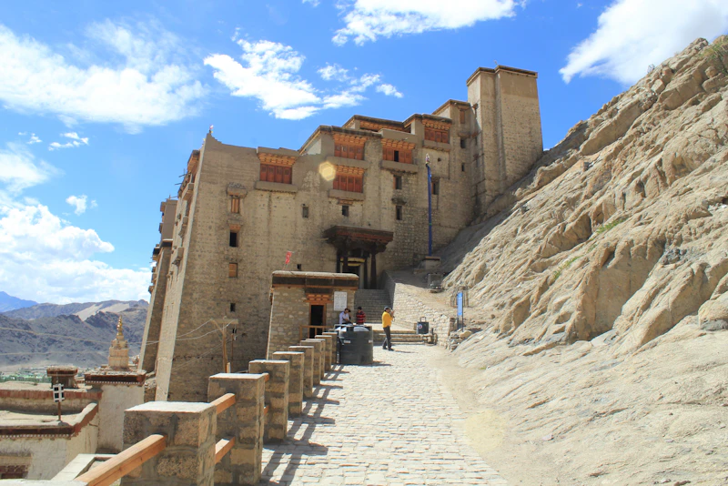 Ladakh photo 3