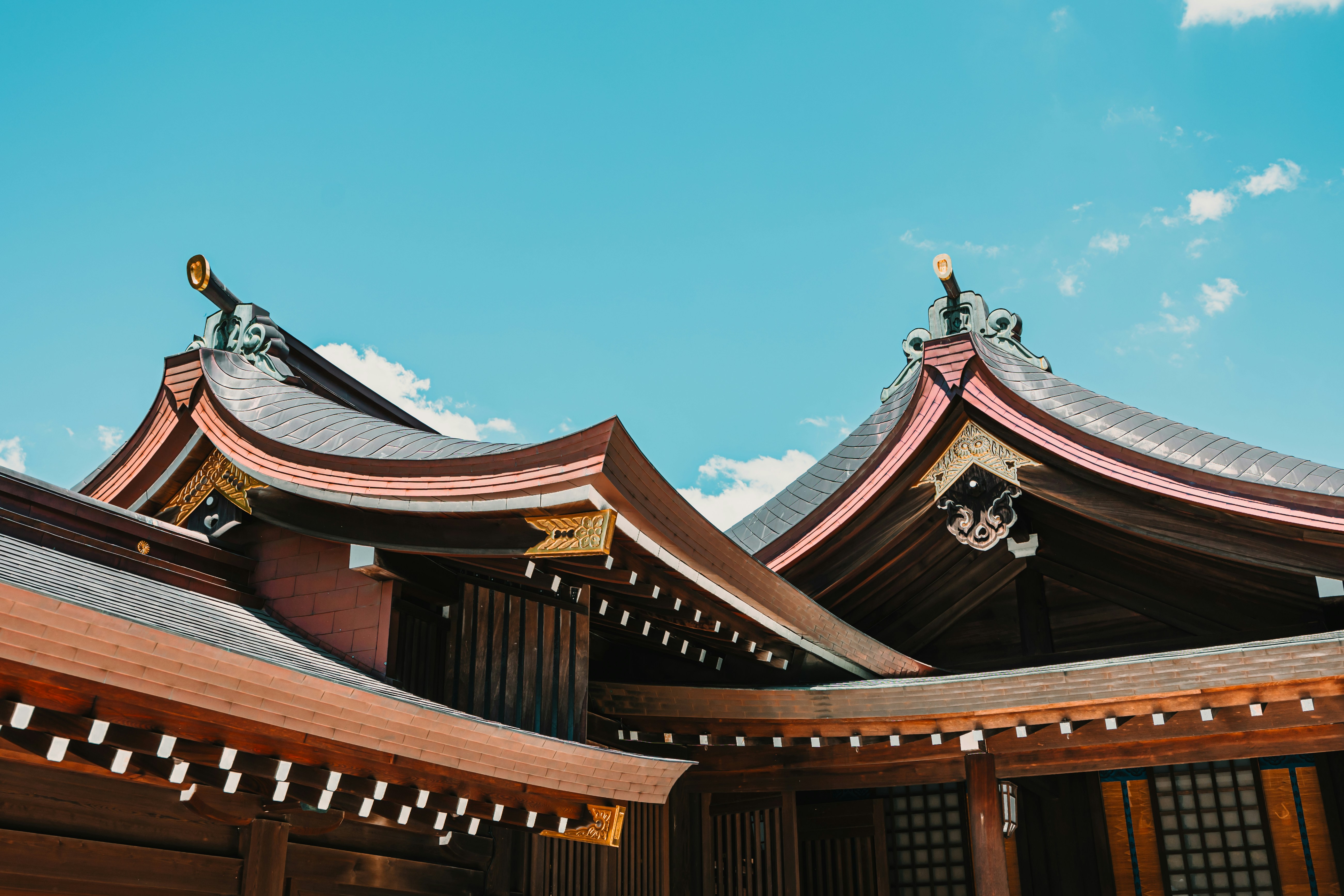 Photo by dariendesigns