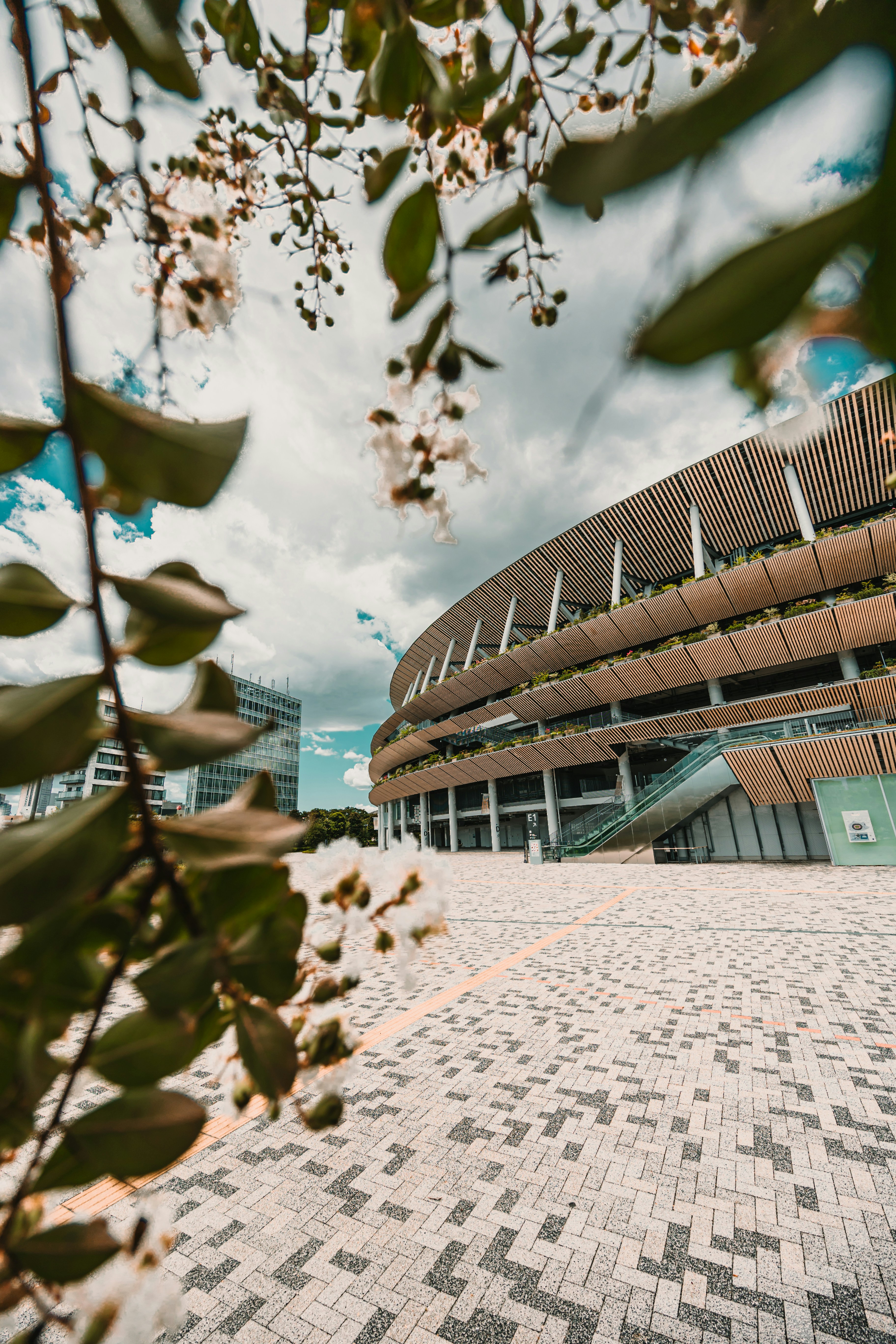 Photo by dariendesigns