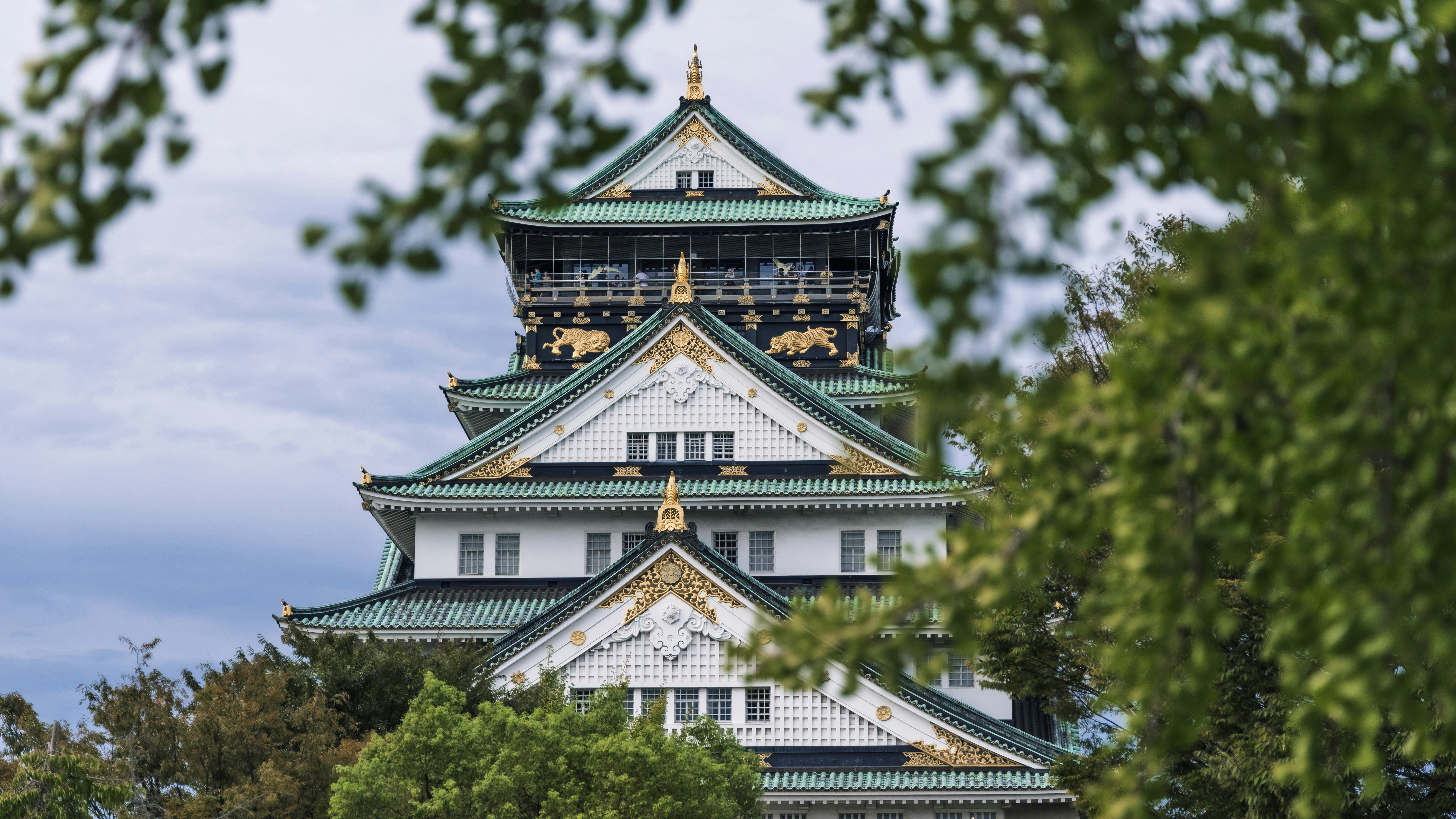 Photo by wenhao_ruan