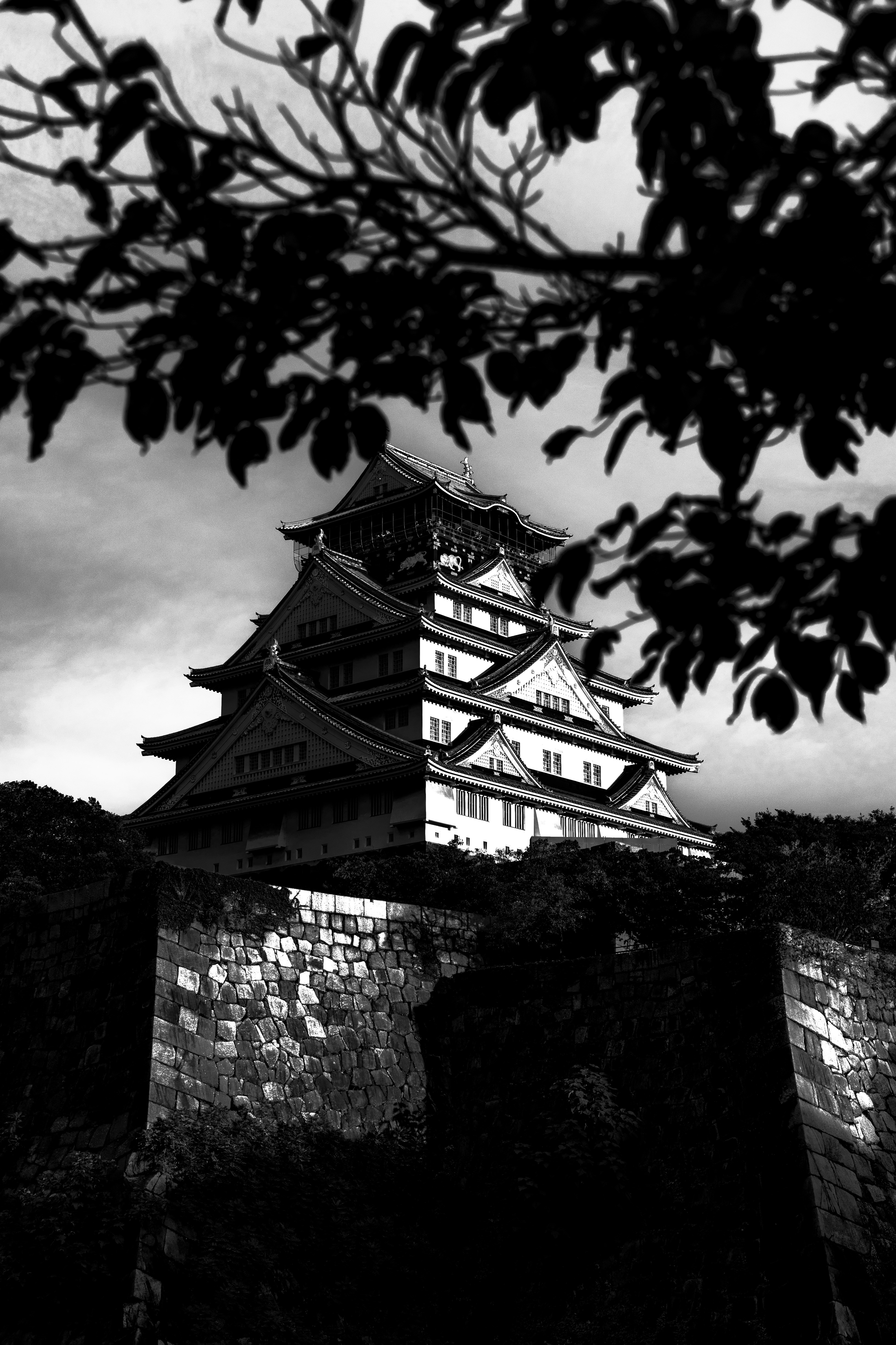 Photo by wenhao_ruan