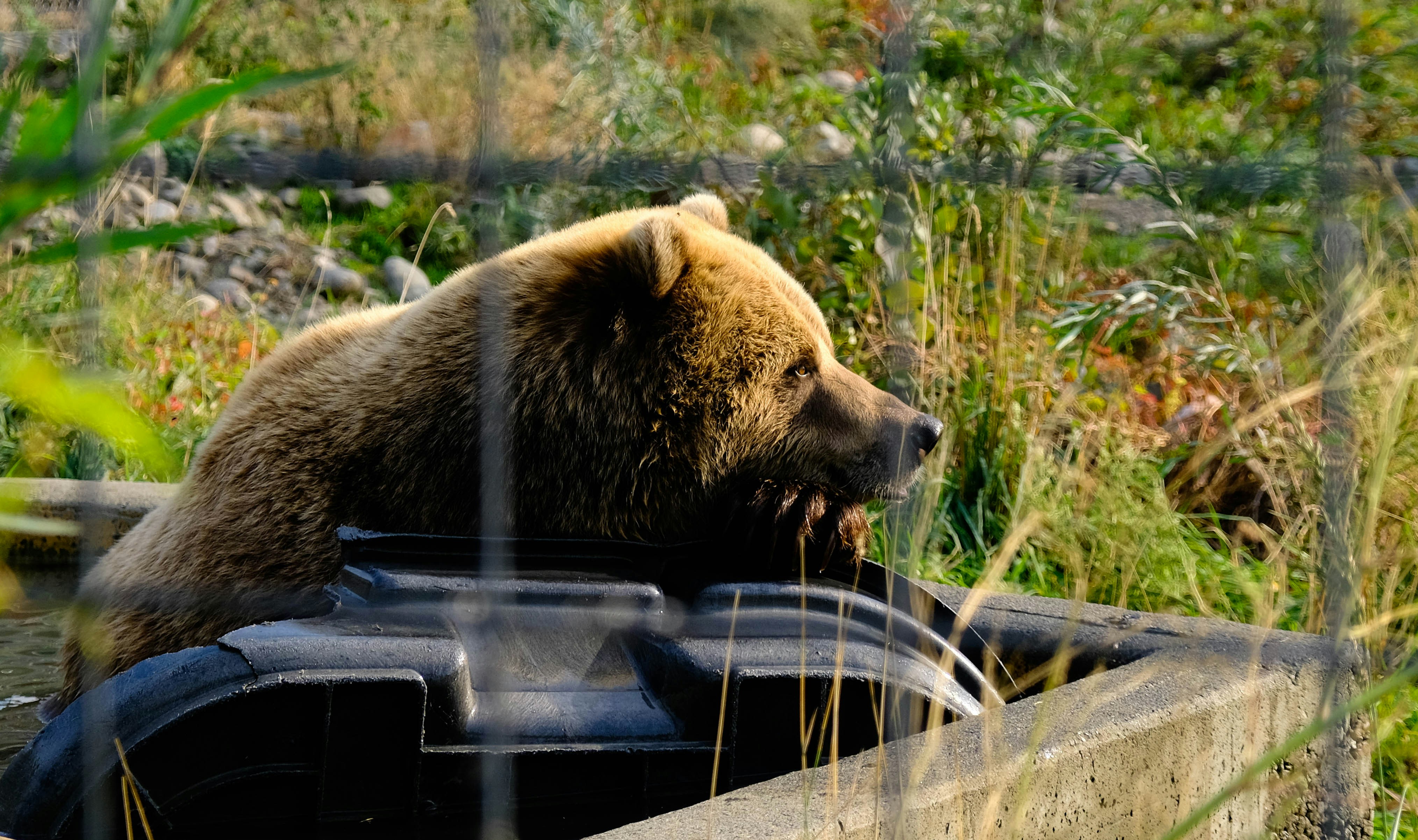 Stock and Crypto Market Values