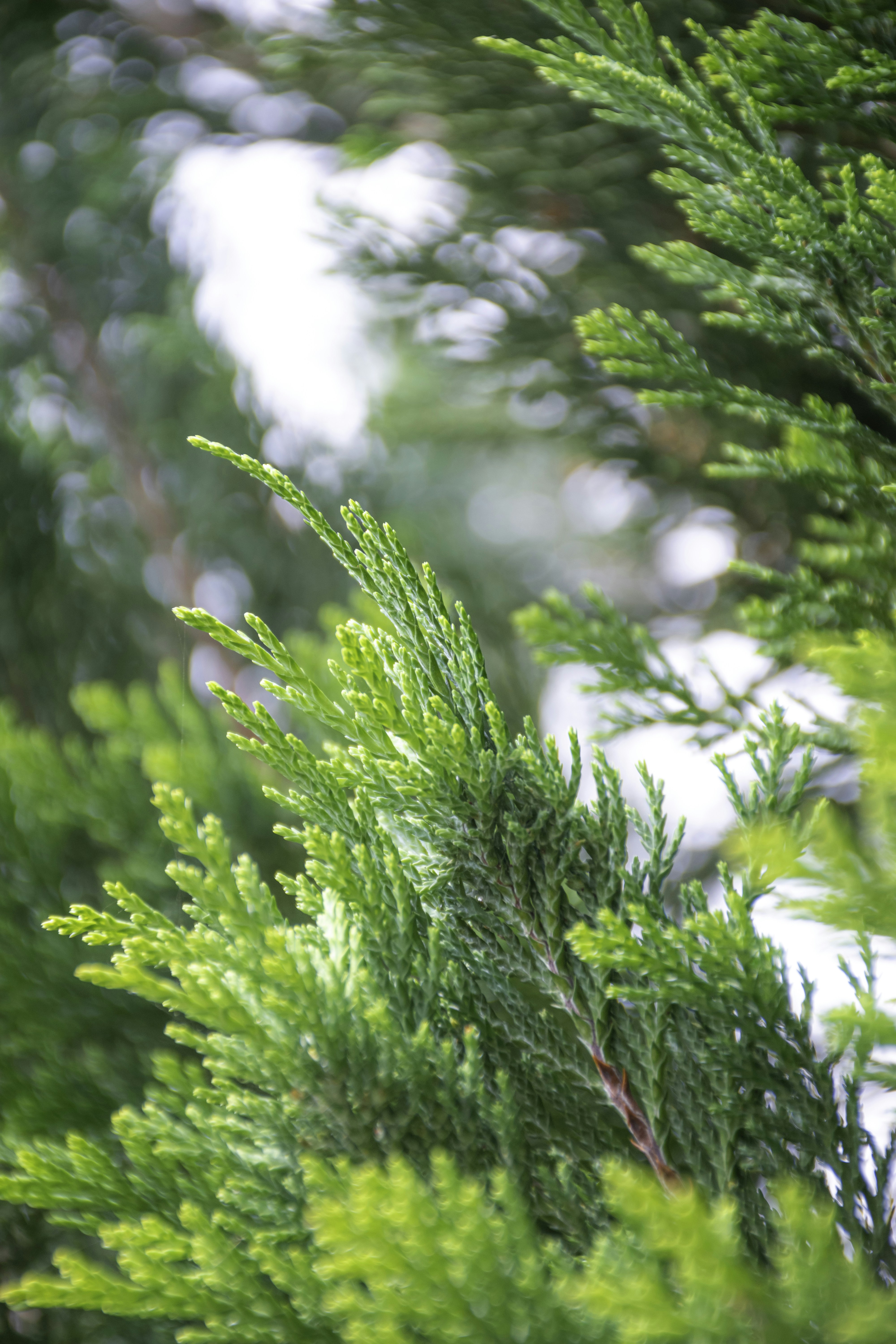 Photo by adam_skrinnikoff