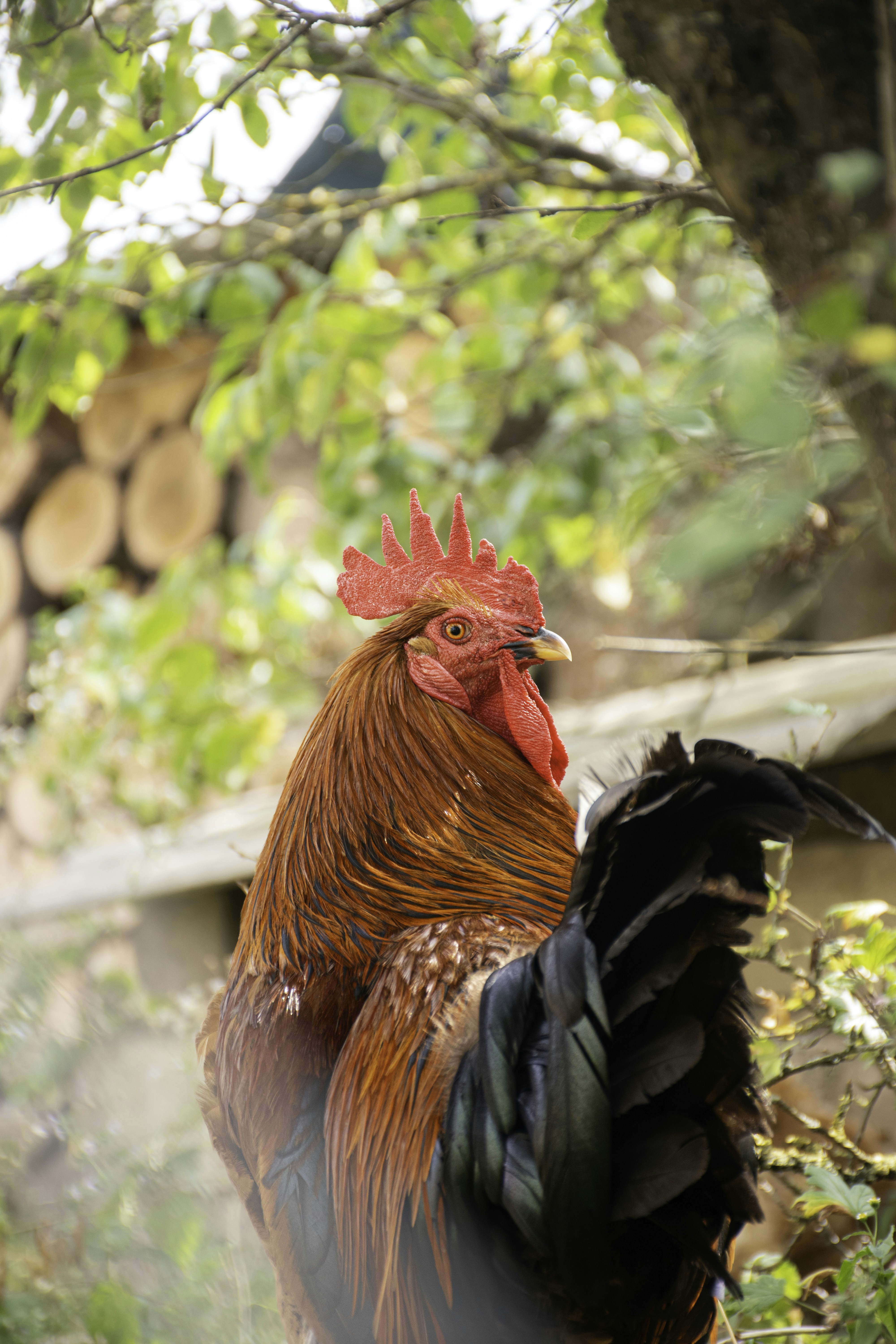 Photo by adam_skrinnikoff