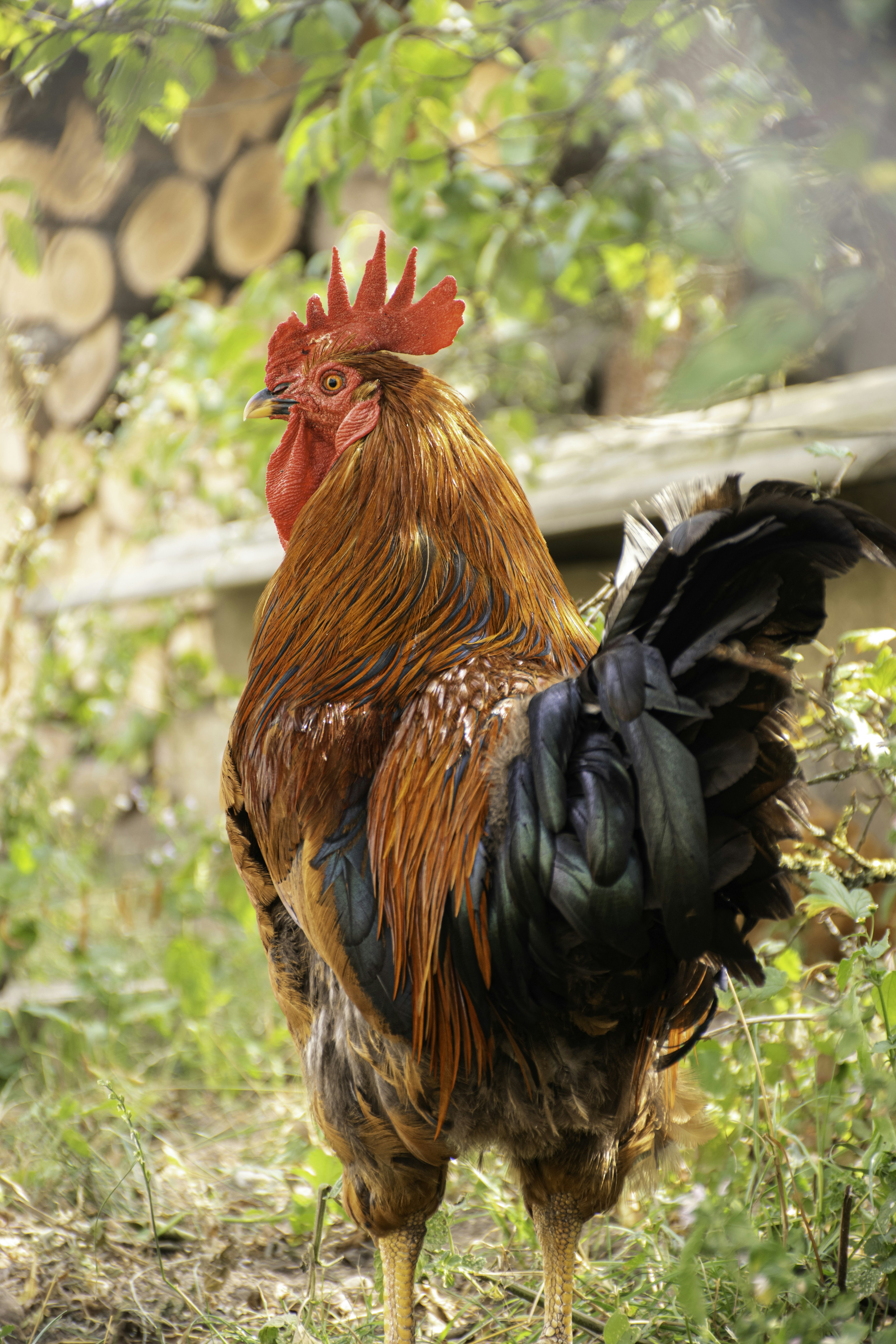 Photo by adam_skrinnikoff