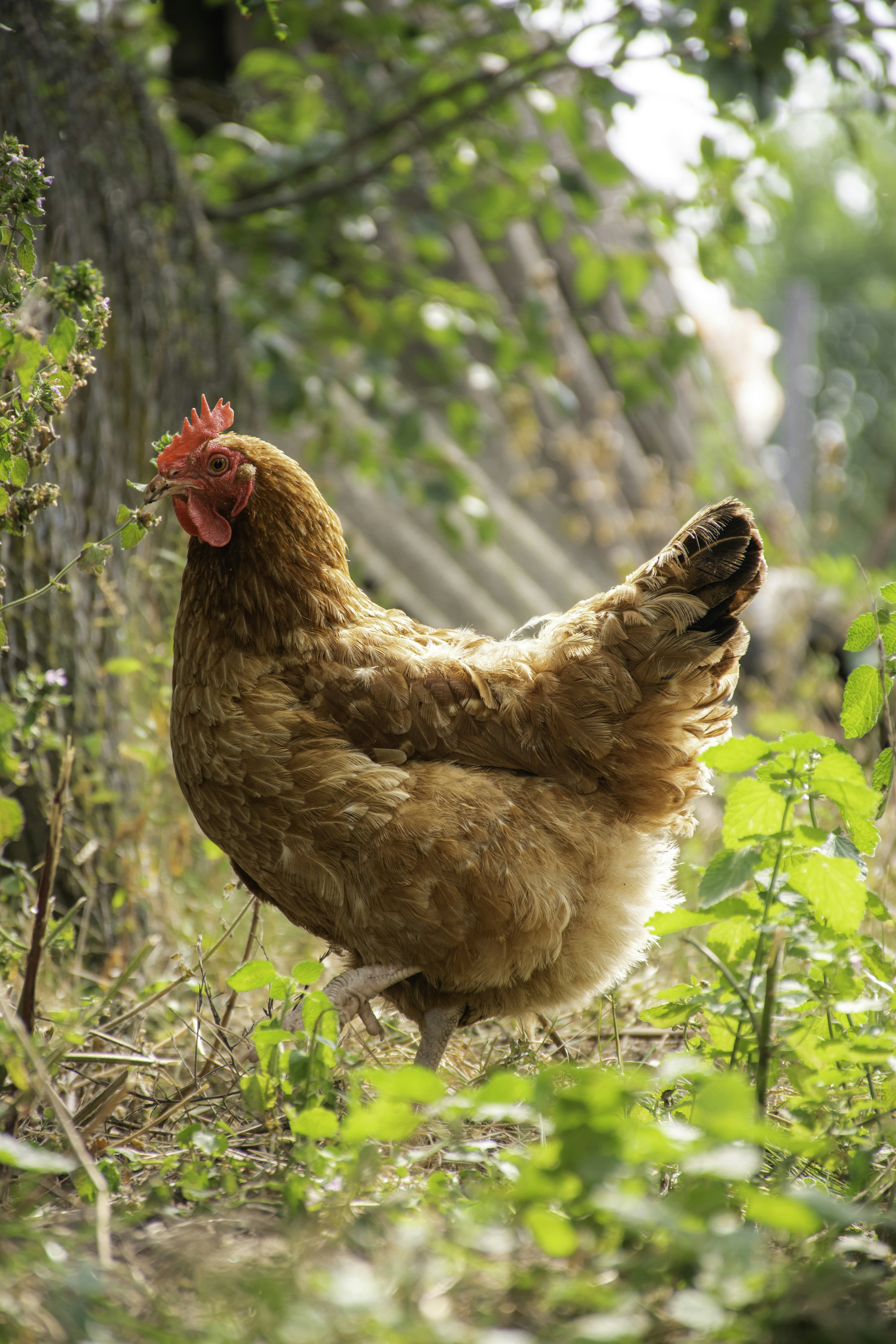 Photo by adam_skrinnikoff