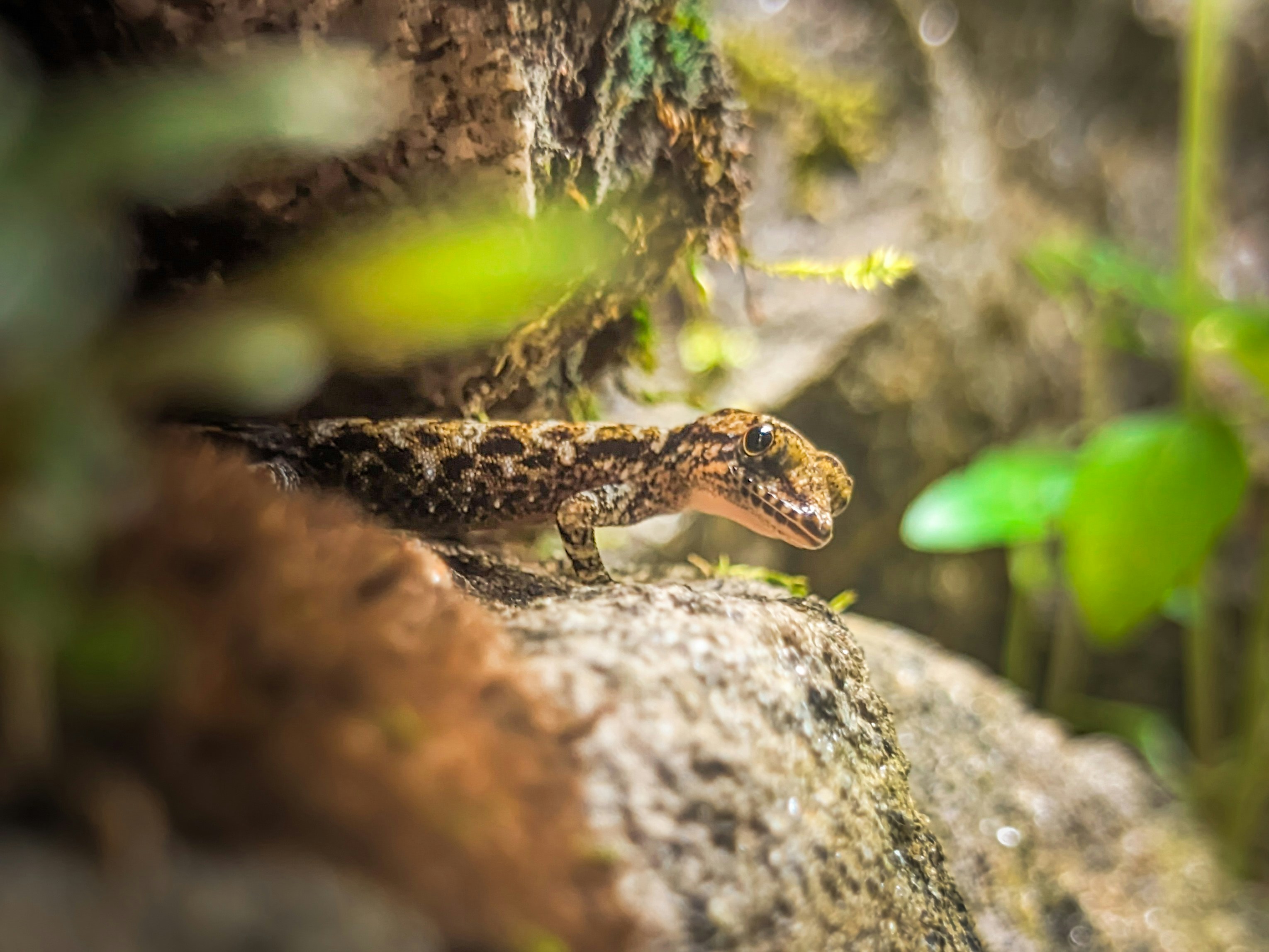 Photo by kalanakavinda