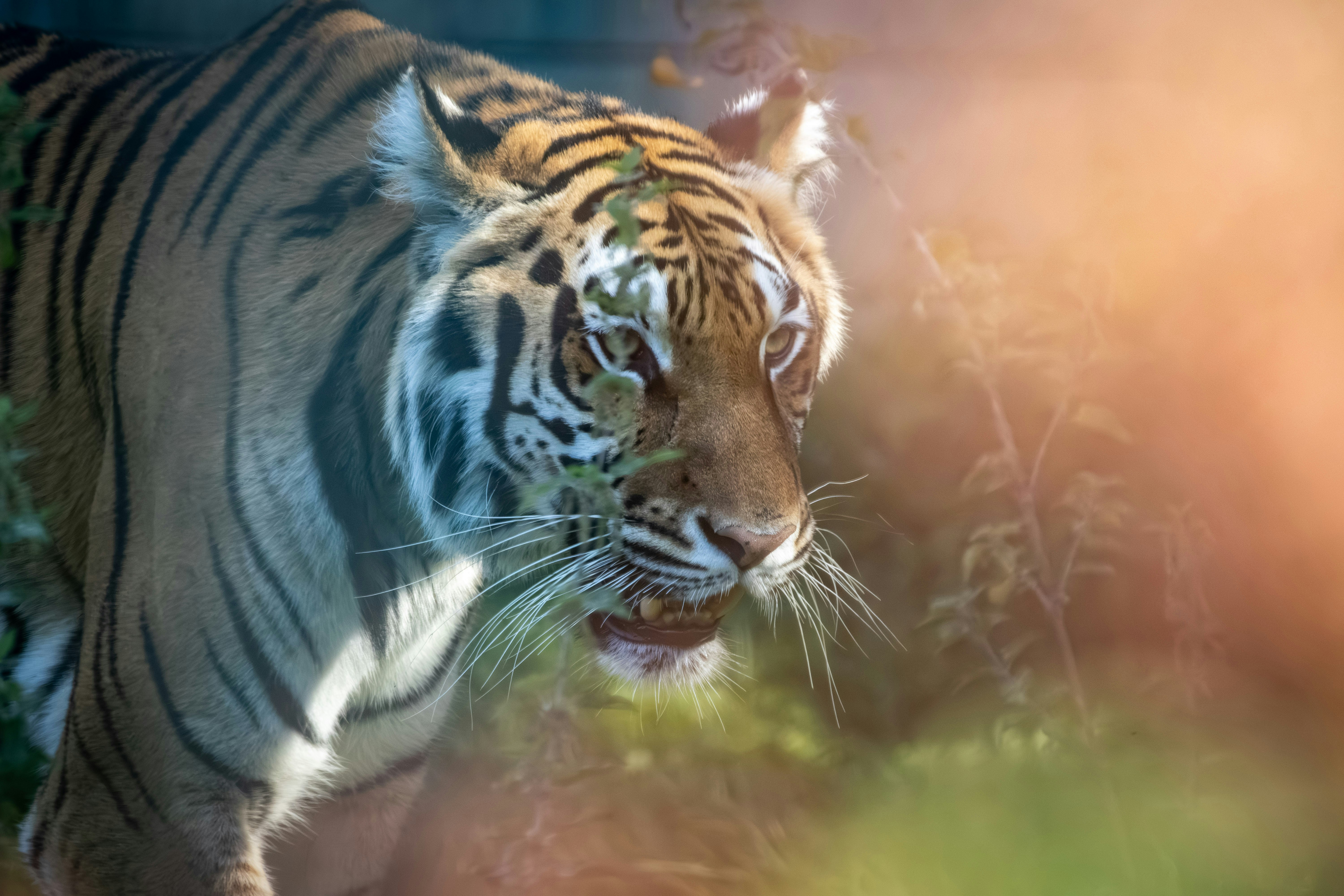 Photo by kennyvrphotography