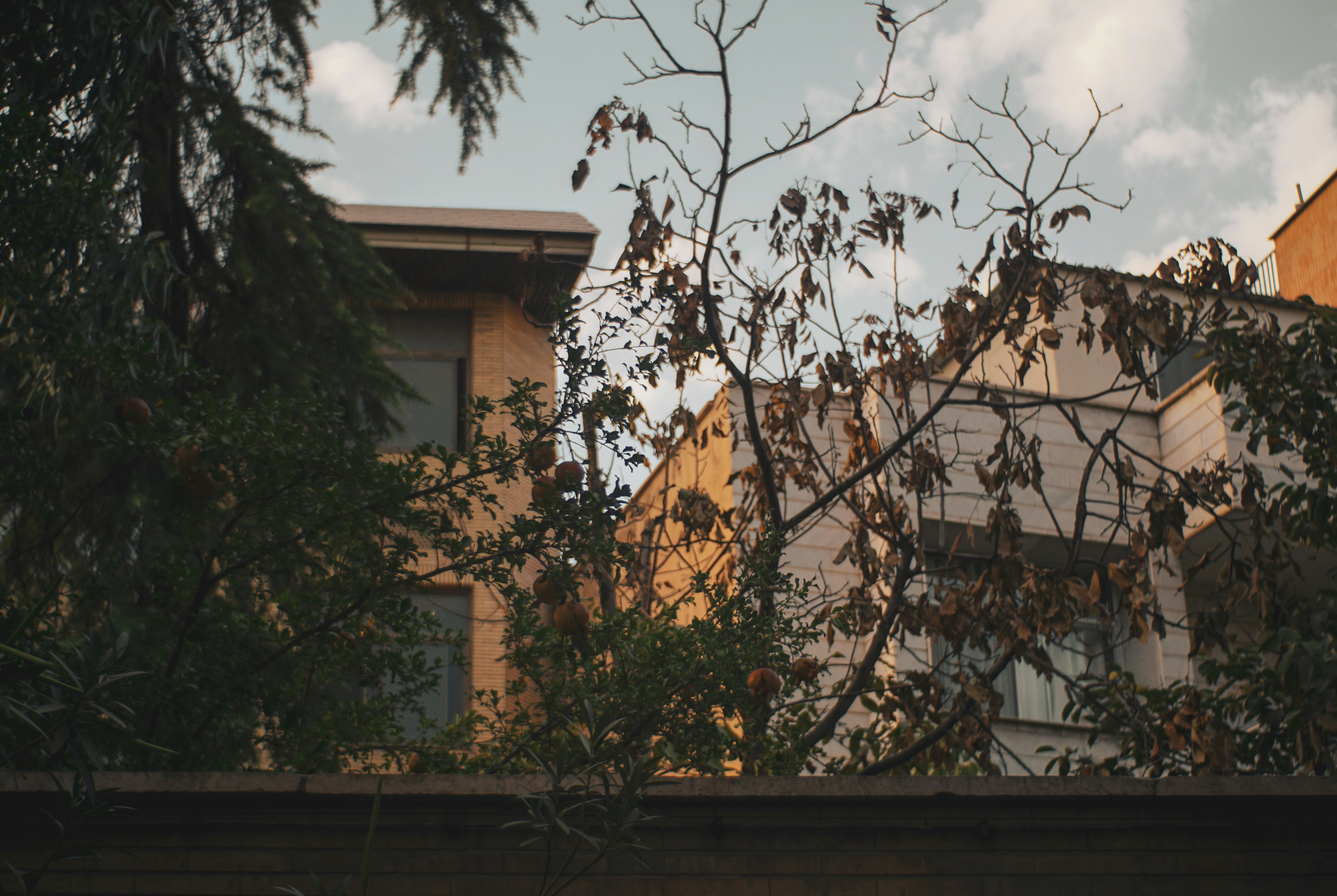 Photo by mdrezajalali