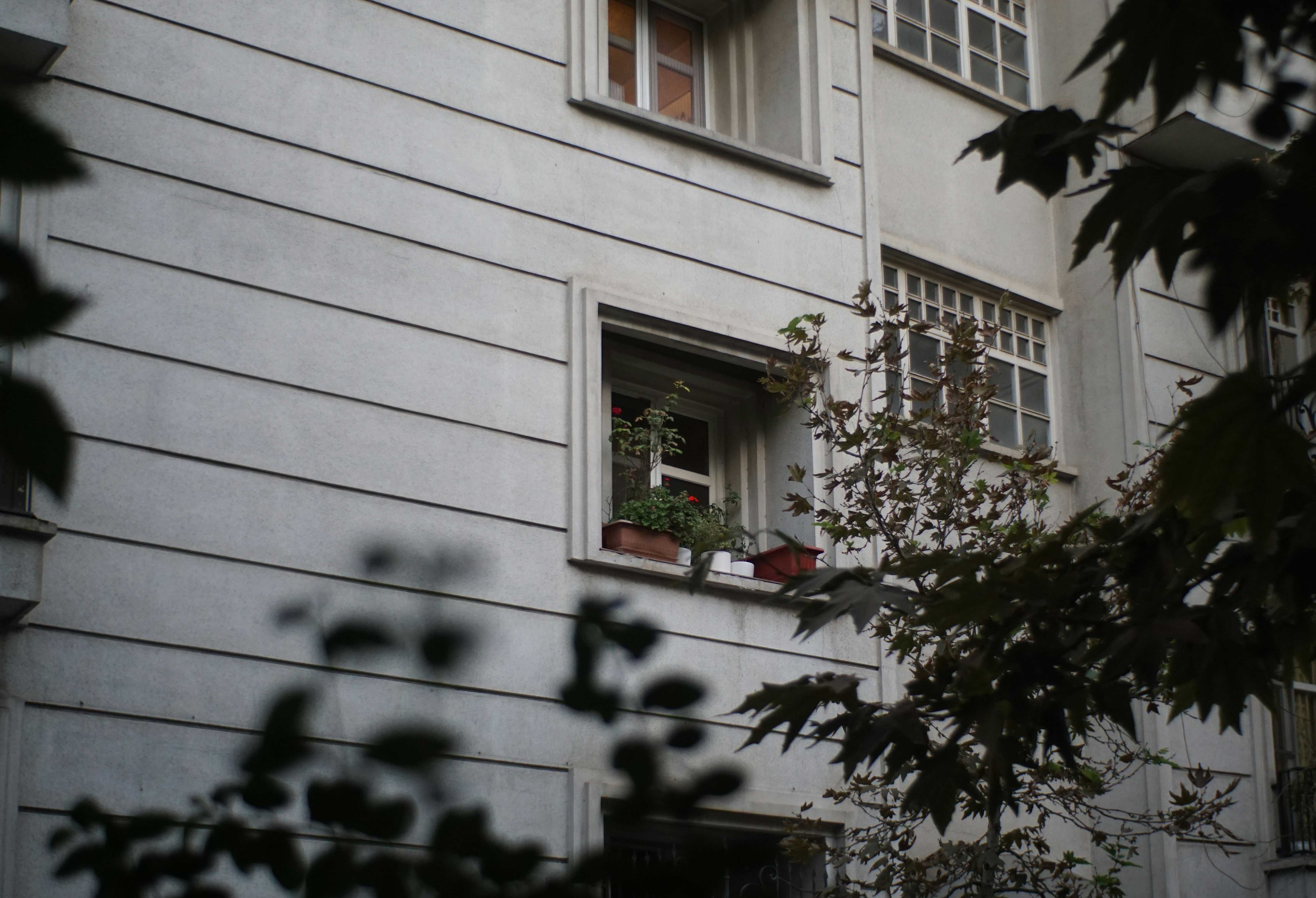 Photo by mdrezajalali