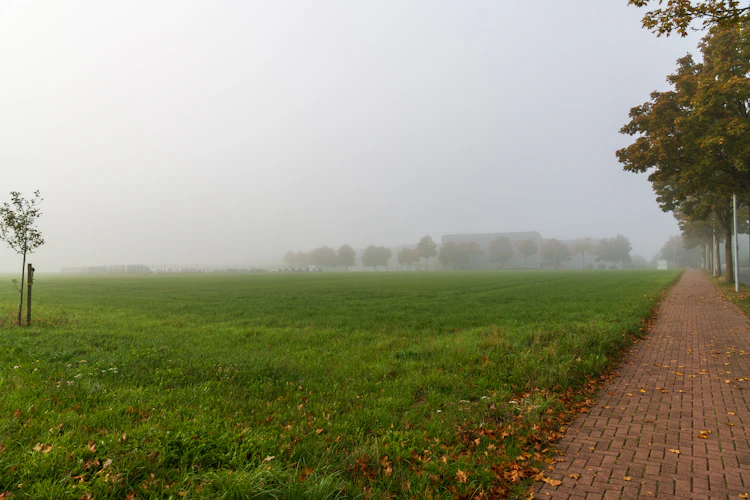 A foggy field with a path running away through it