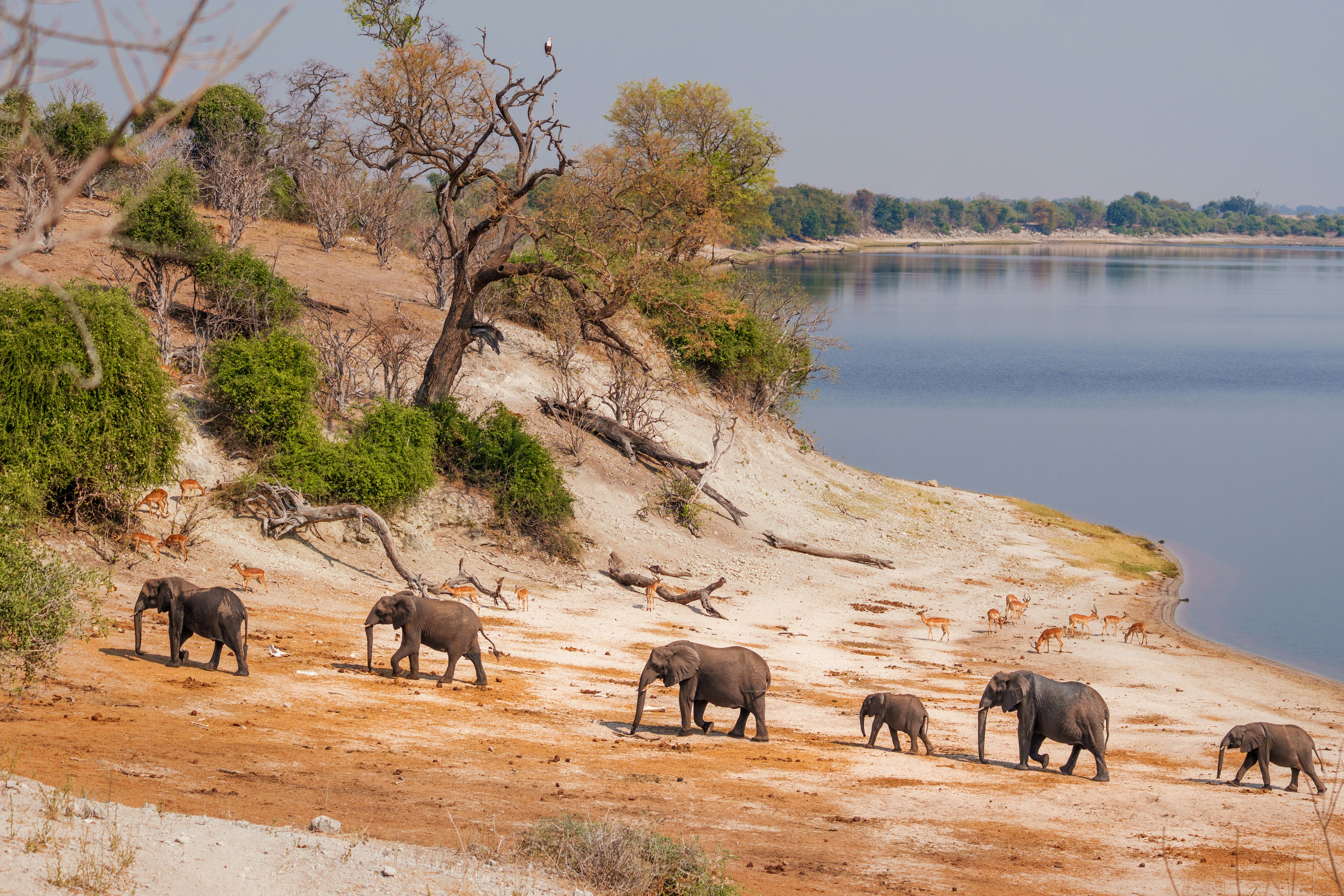 Maun – Natural Environment & Landscapes