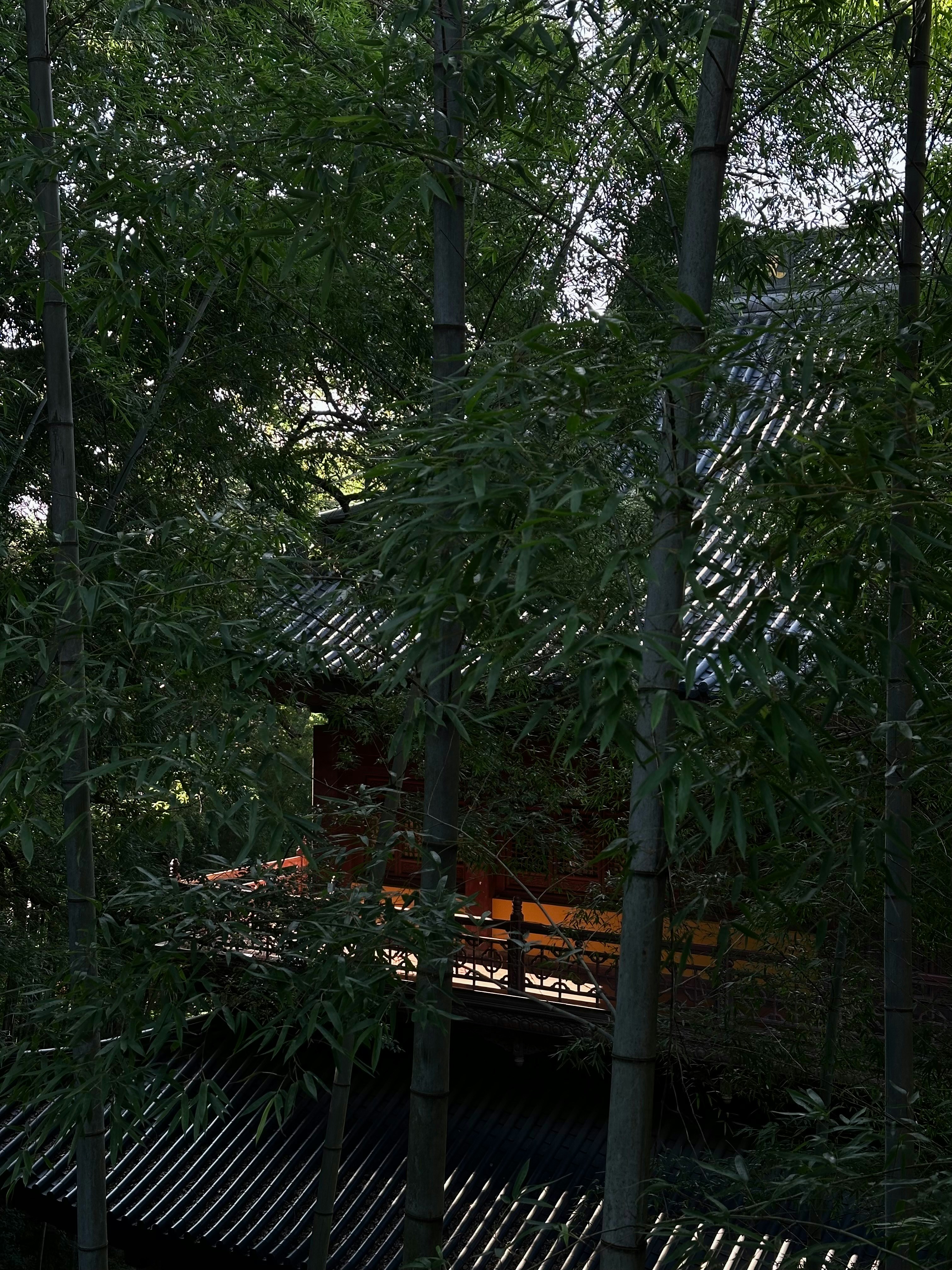 Misty Japanese Forest Sauna
