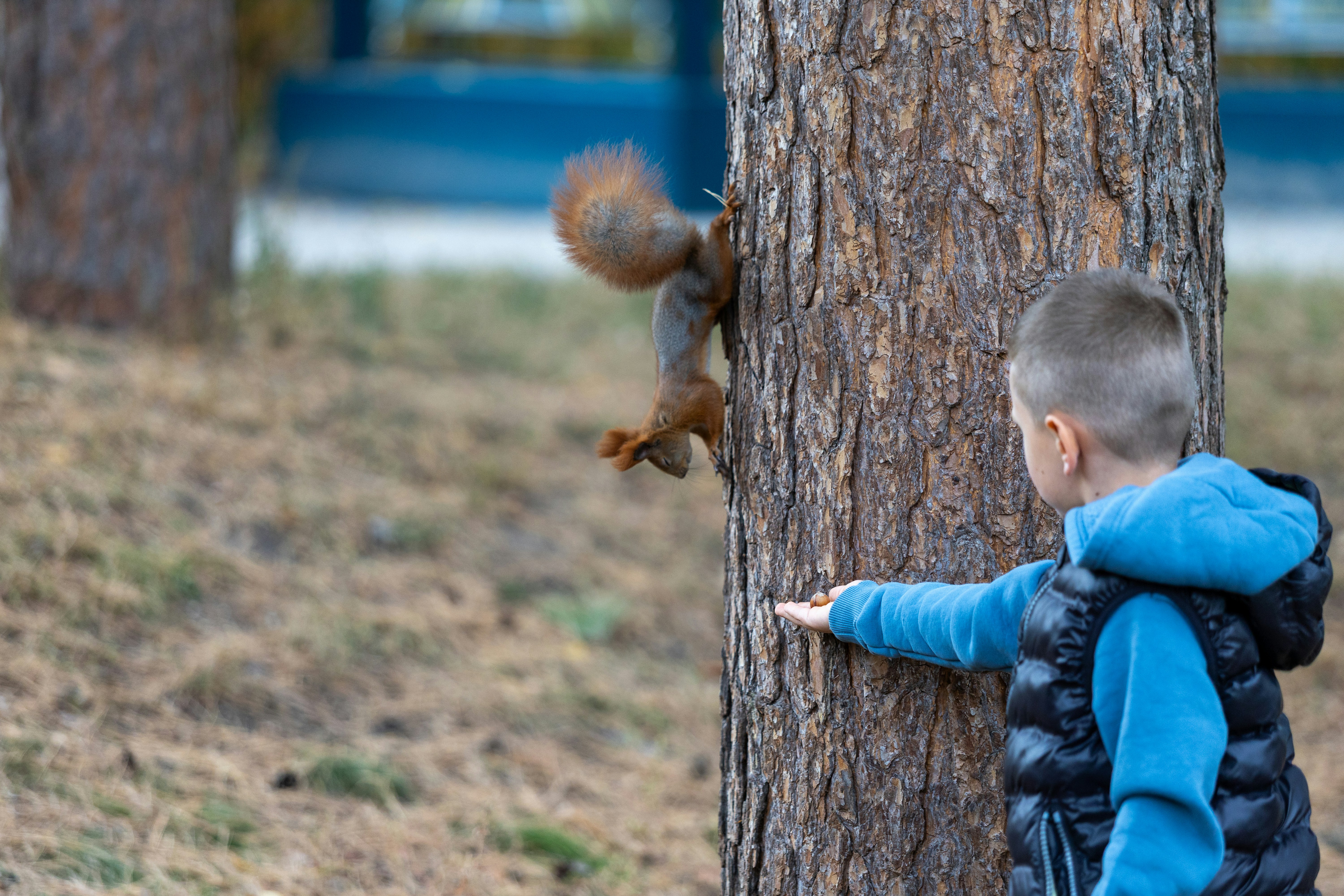 Kinder beim naturverbundenen Lernen