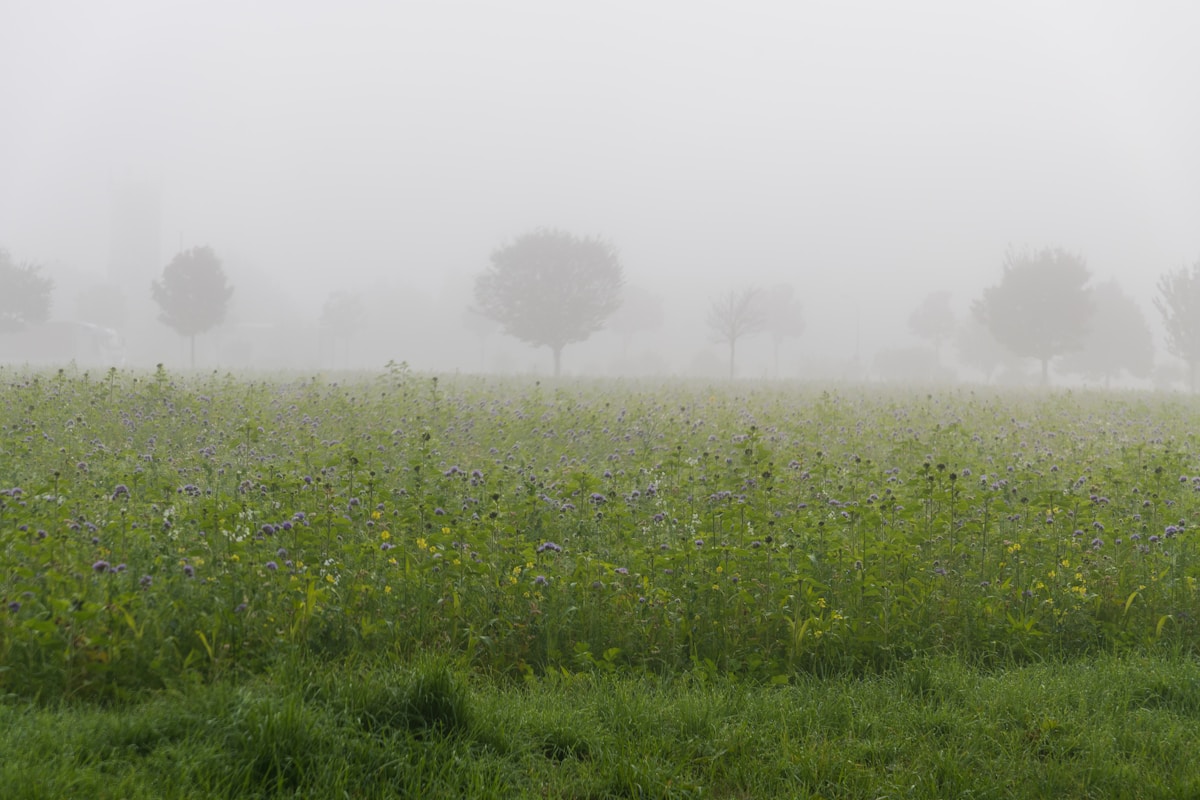 photo by Sergej Karpow (@skstrannik) on unsplash