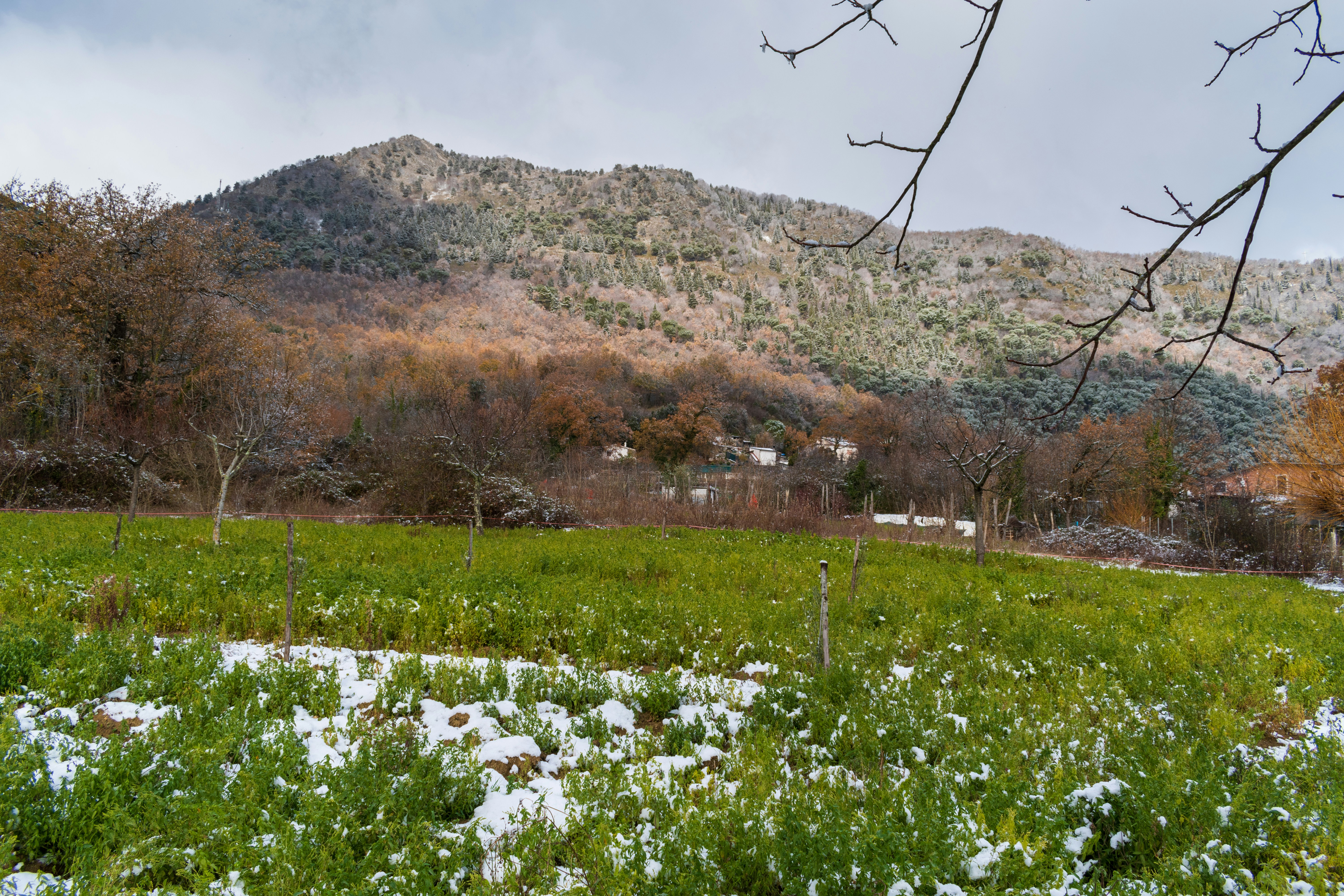 Image by Valleluce via Unsplash