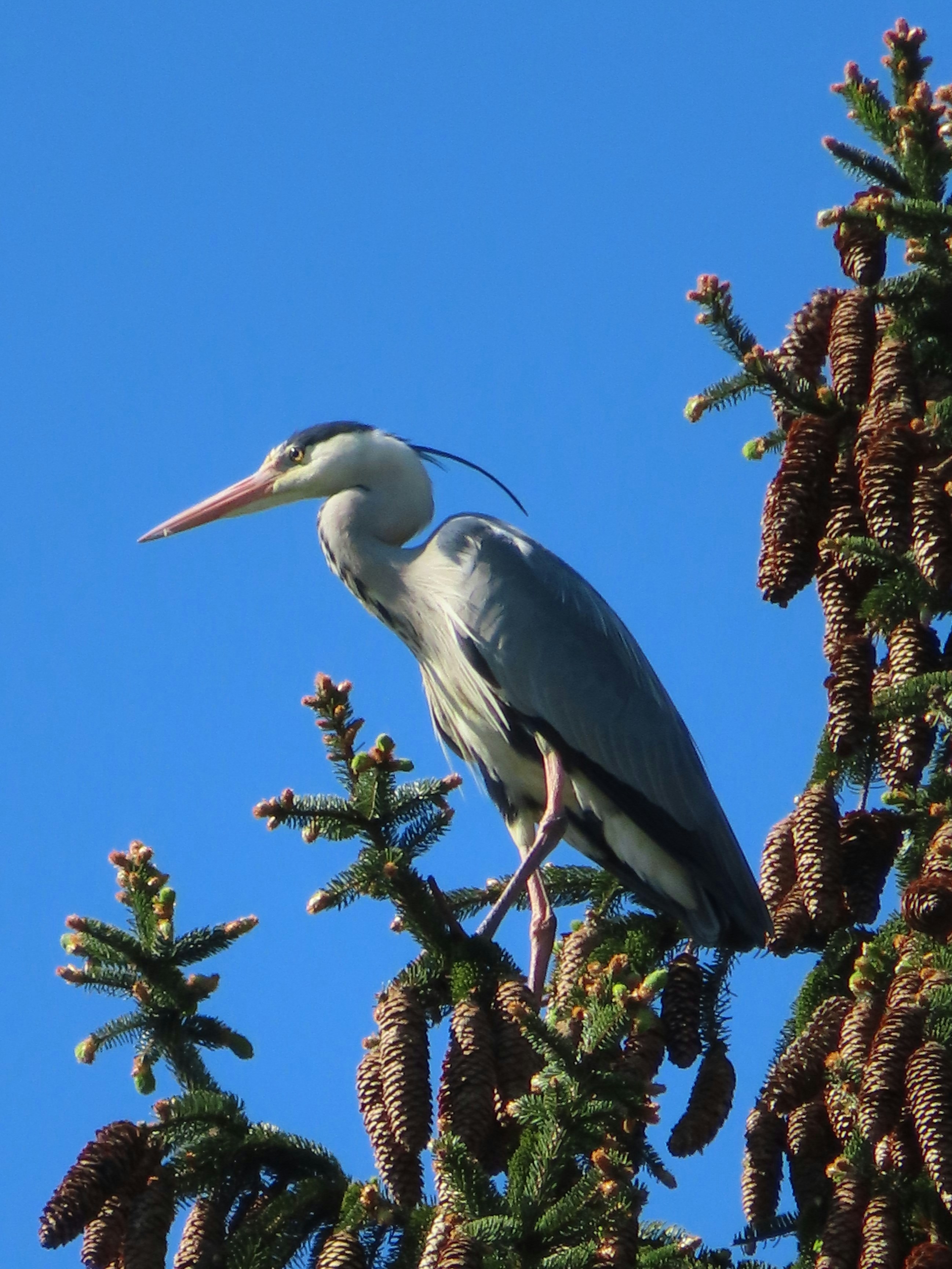 Photo by dieterrohmann