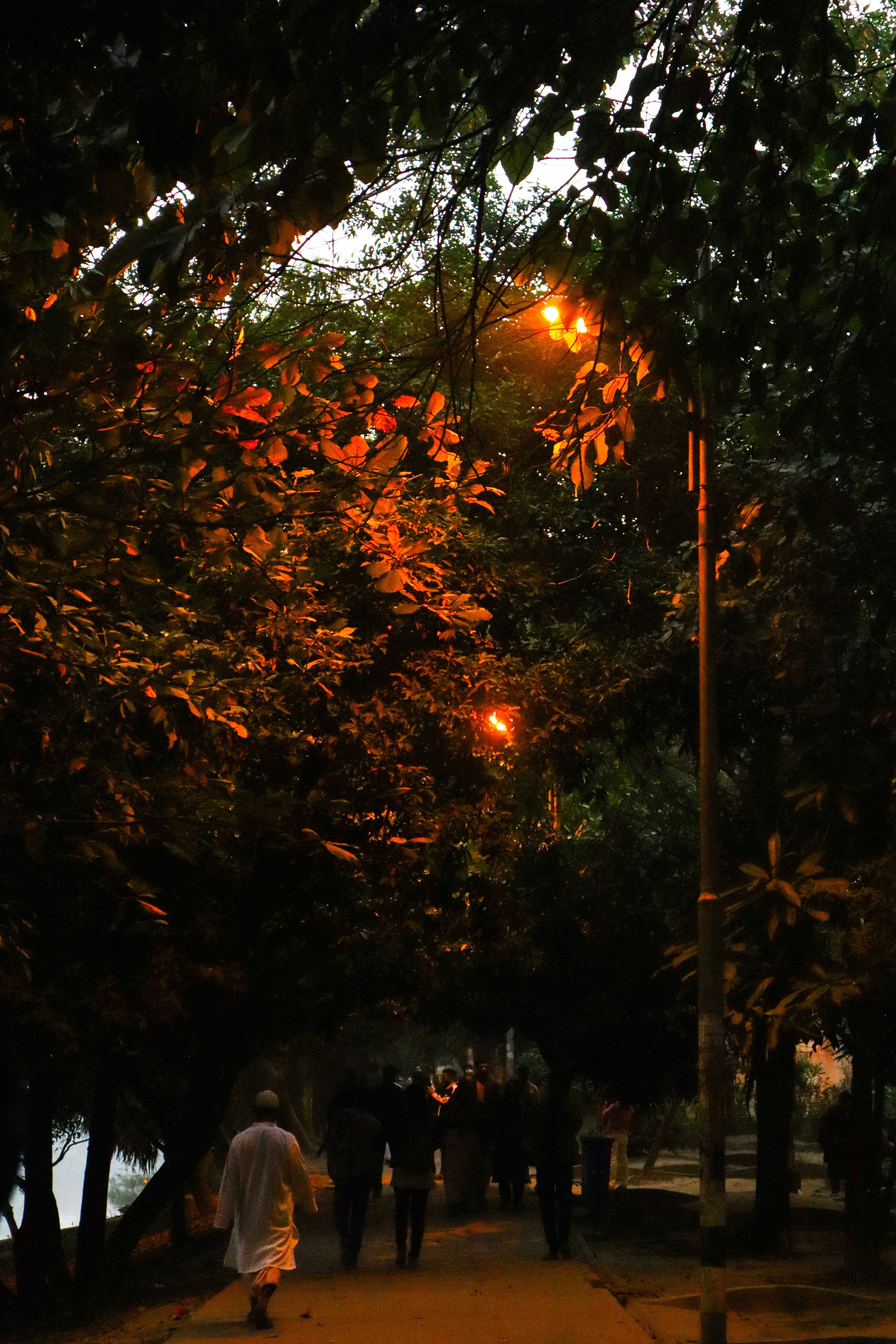 Photo by musabbir_hossain