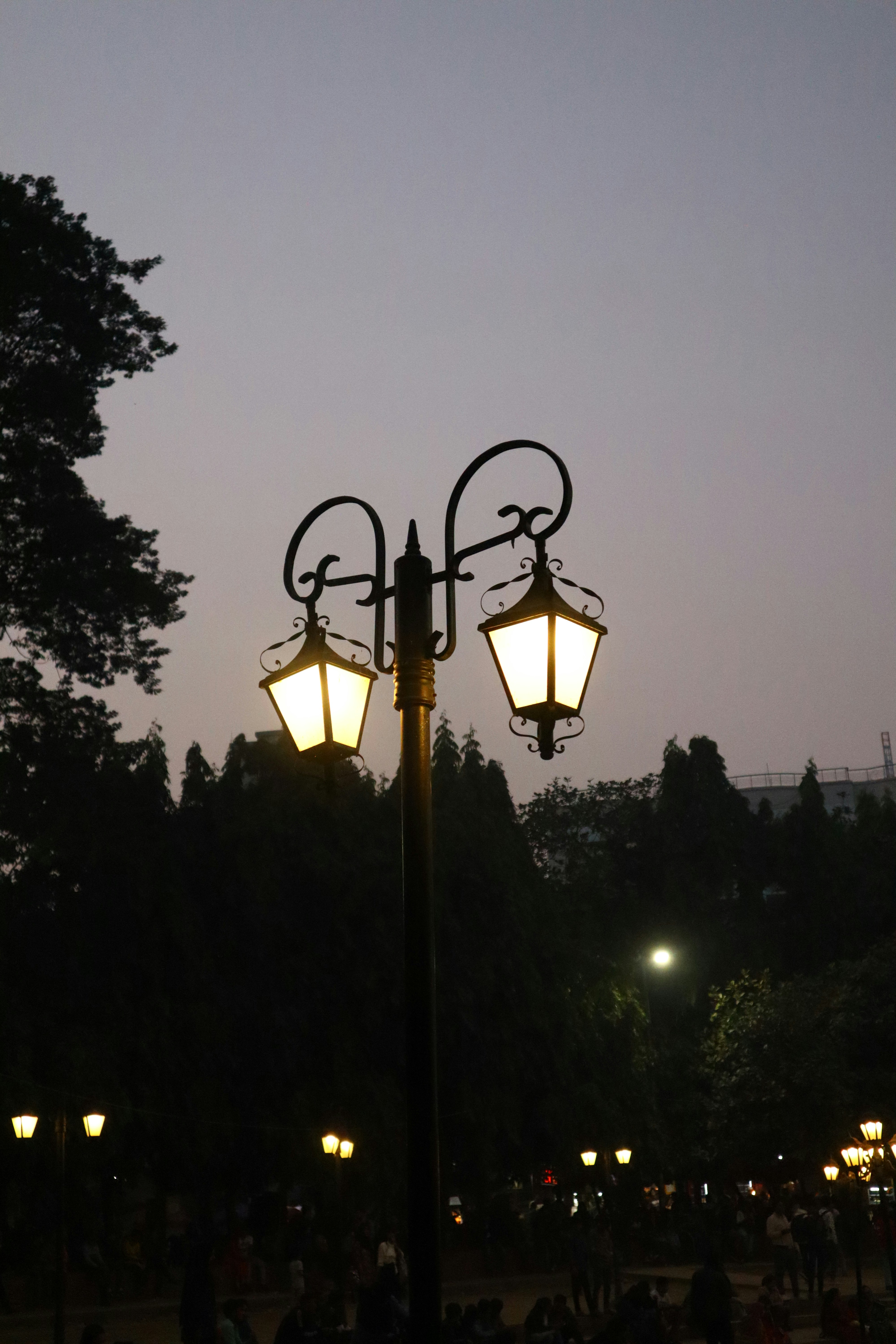 Street lamps glowing in the twilight park