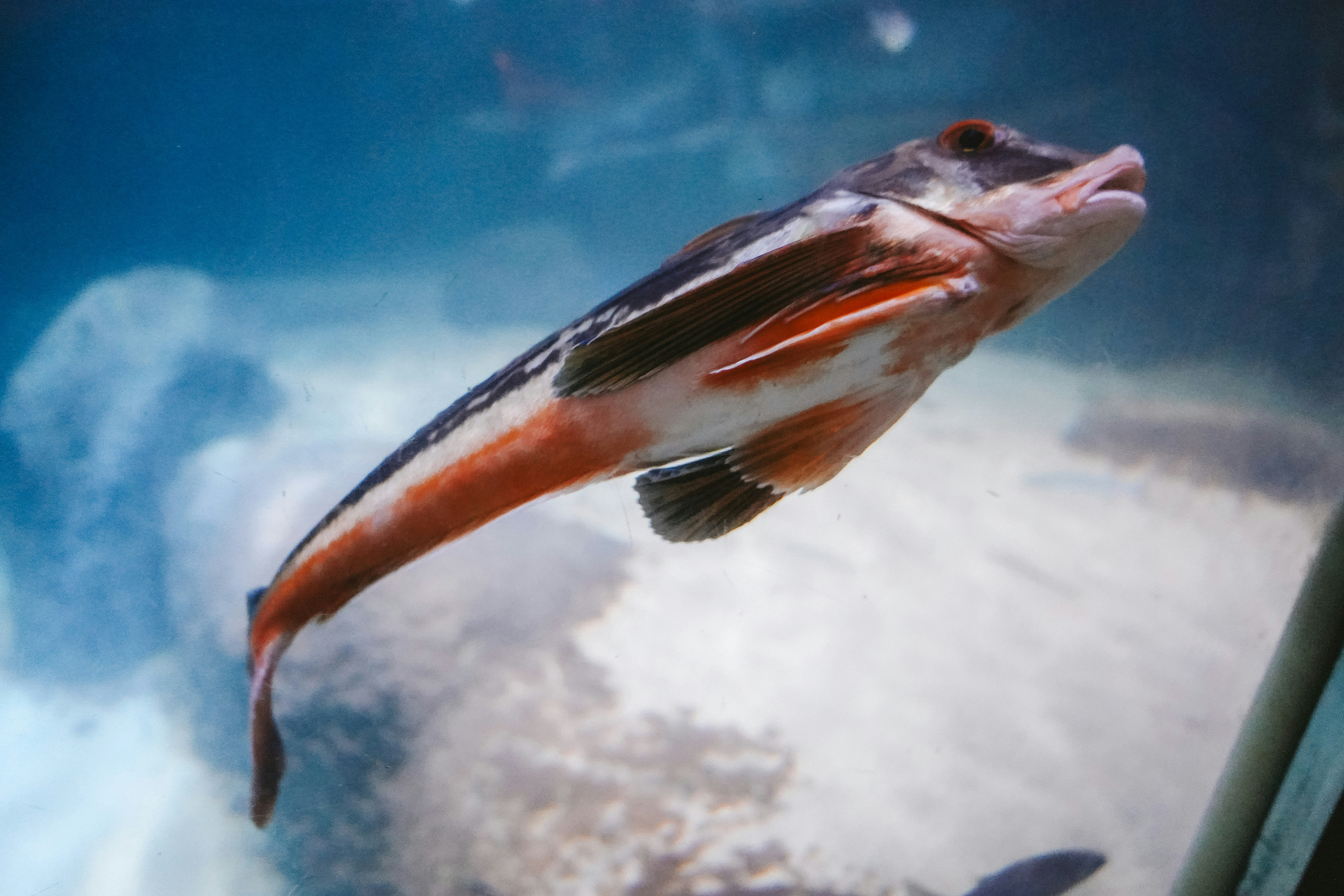 A dark and mysterious underwater kingdom, depicting the theme of the game Abyss.