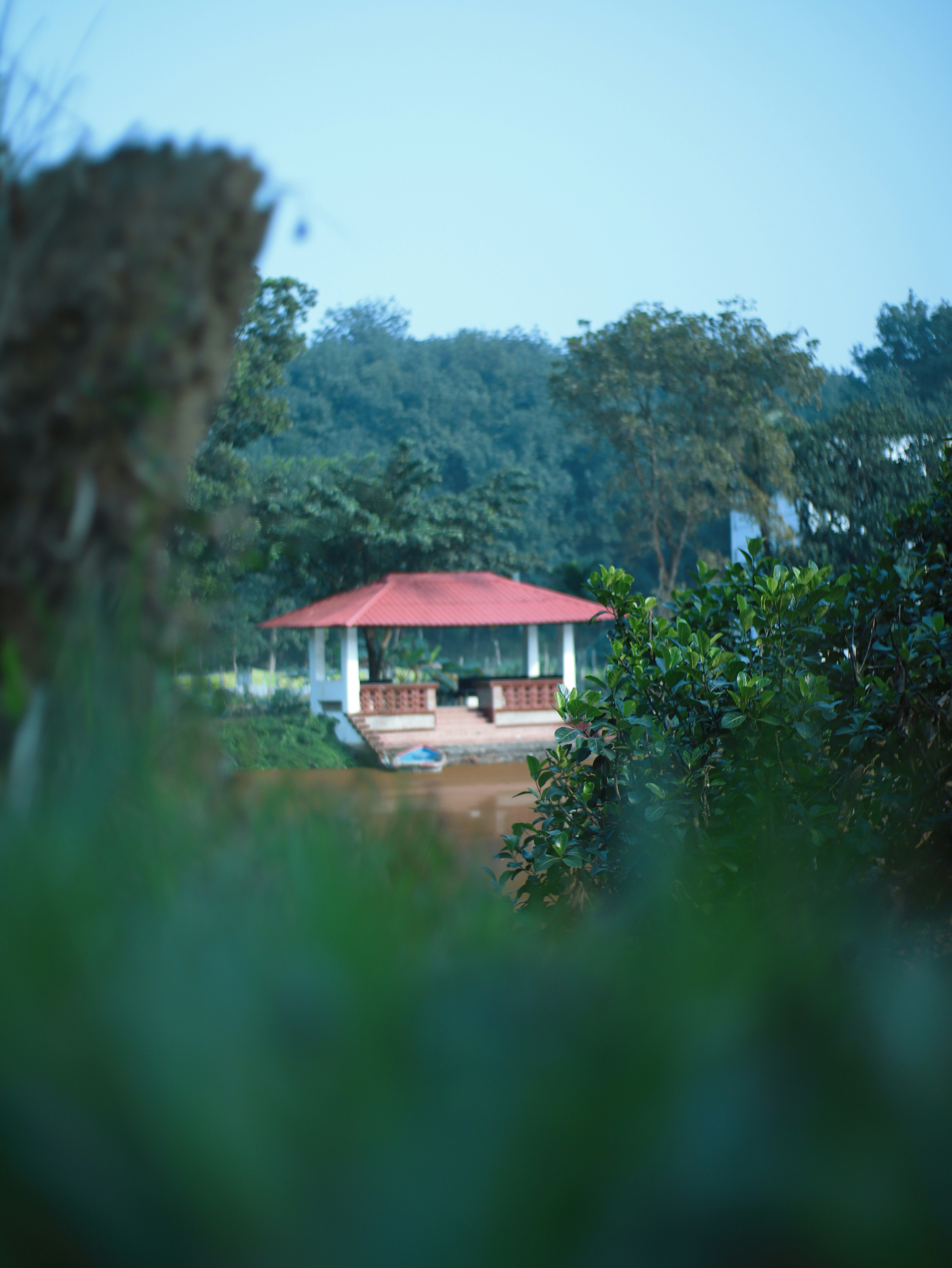 Photo by musabbir_hossain