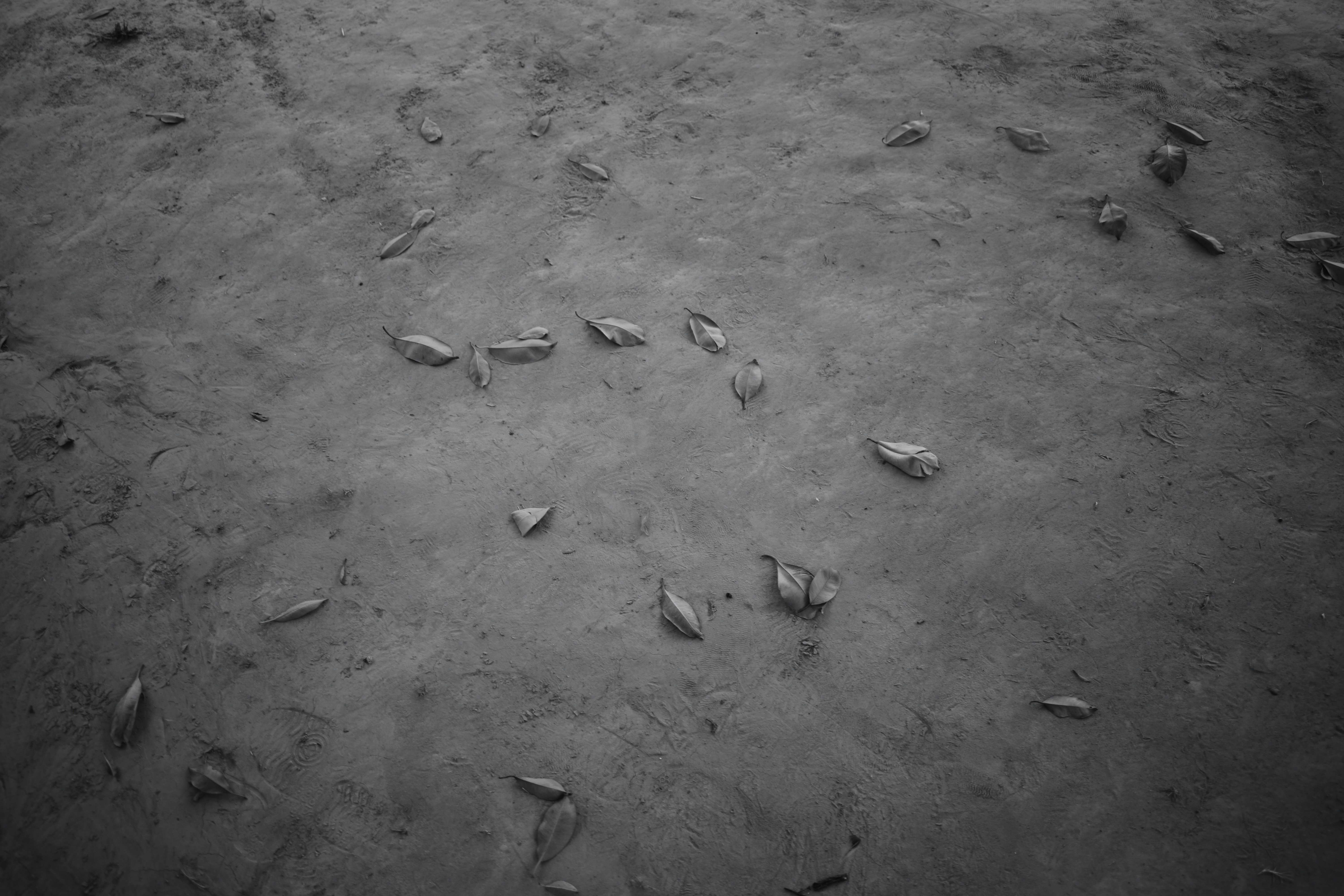 Photo by hassaan_tahir