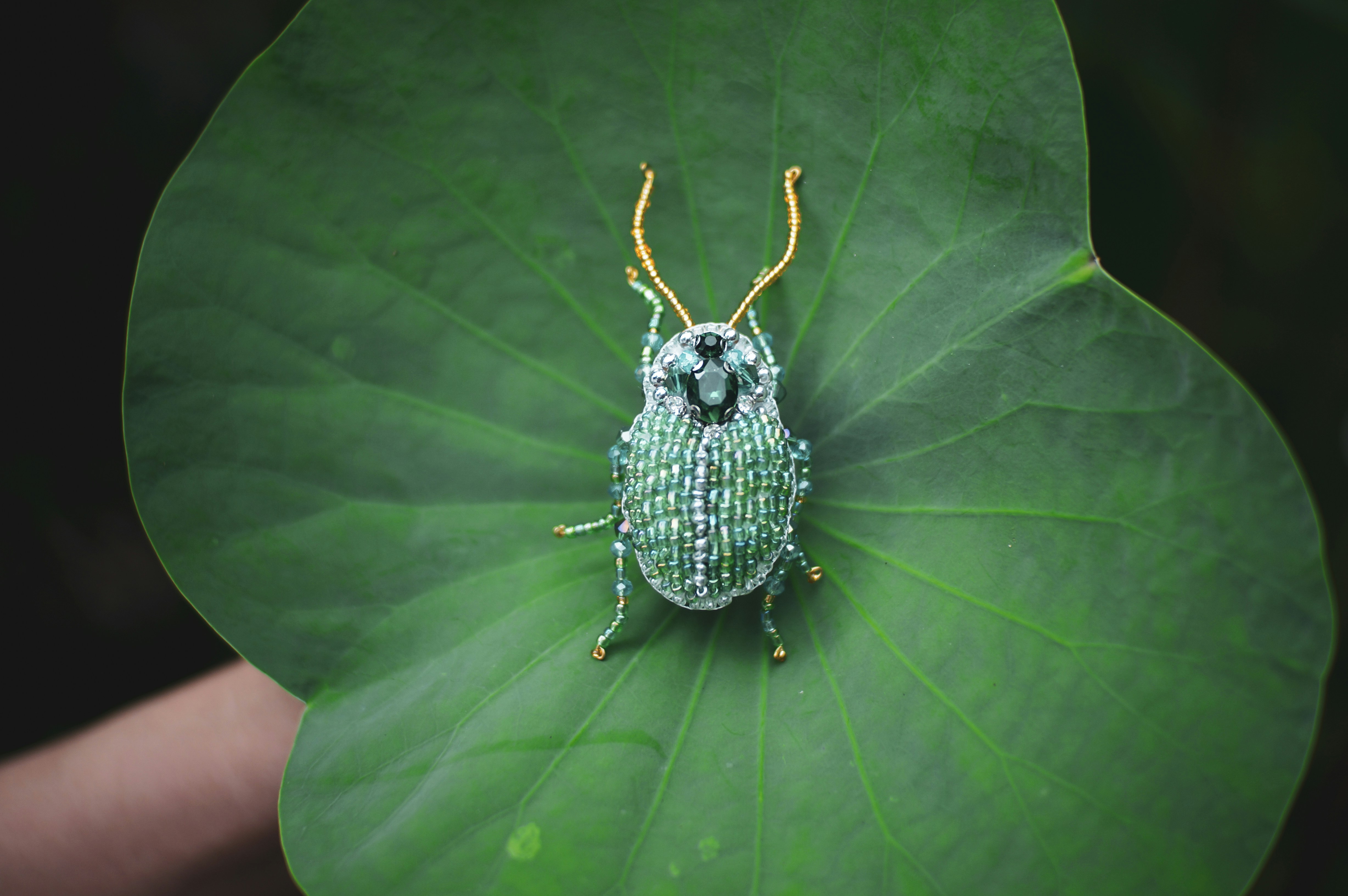 Beaded beetle resting on a green leaf.