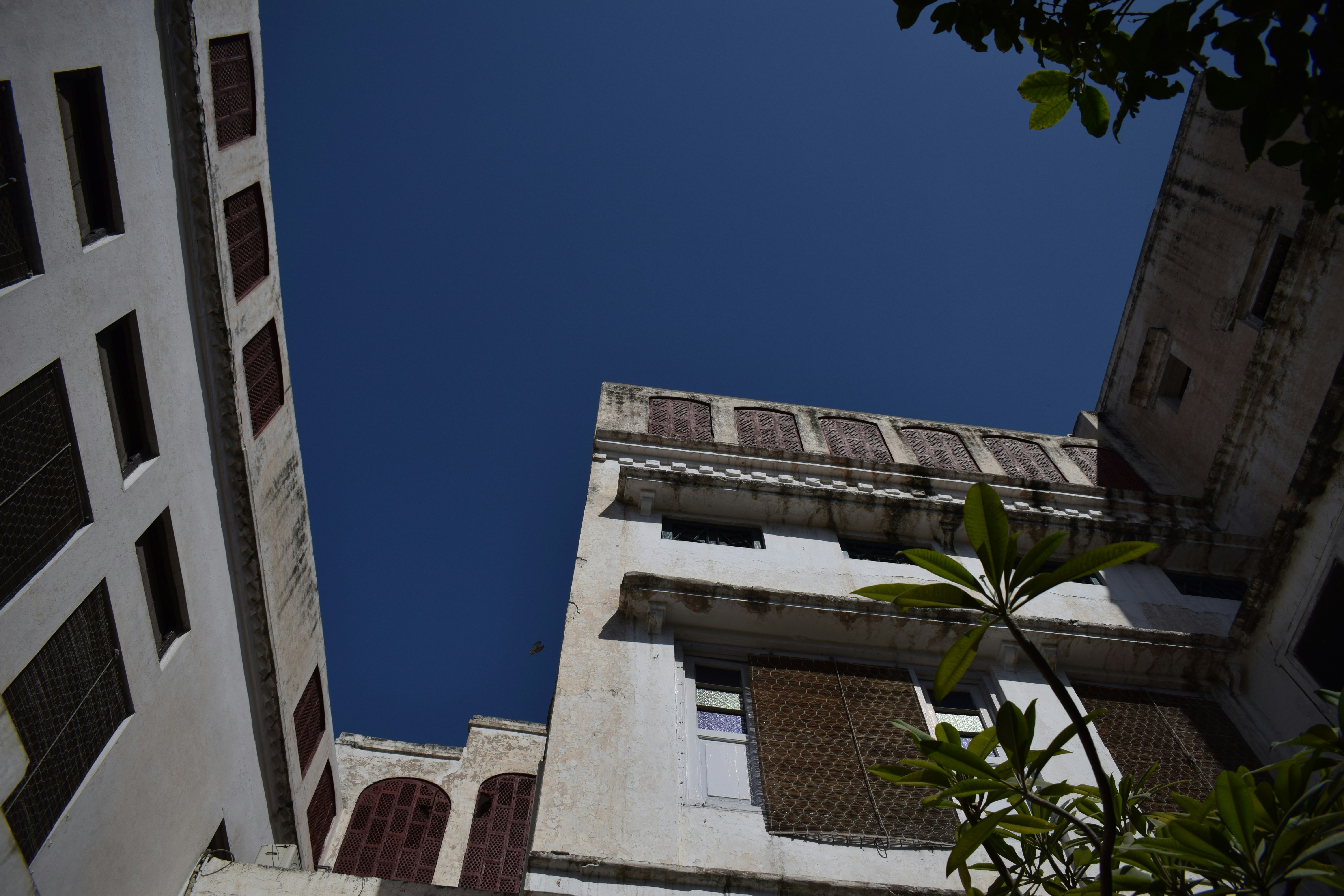 Photo by hassaan_tahir