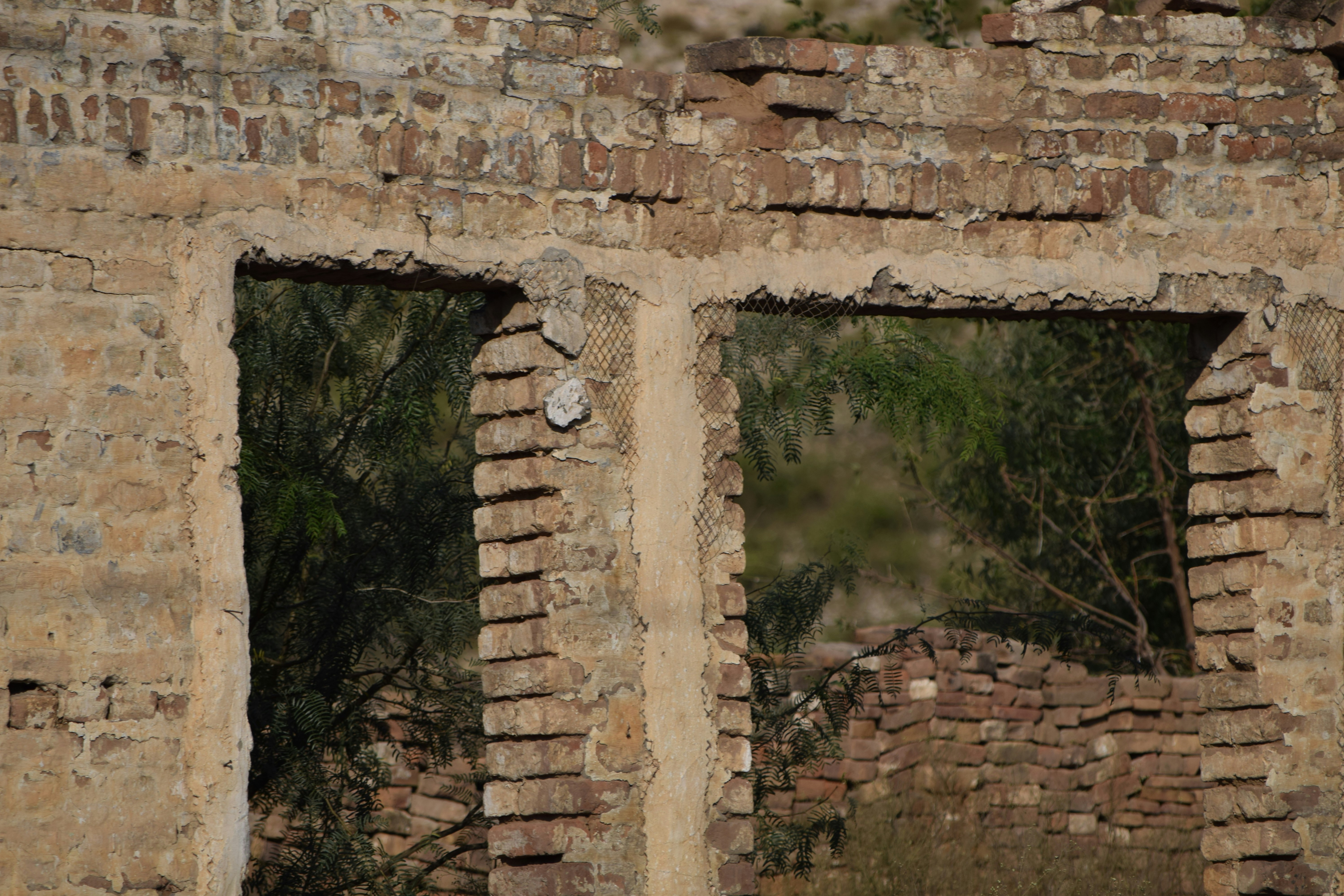 Ruined brick building with overgrown vegetation through openings