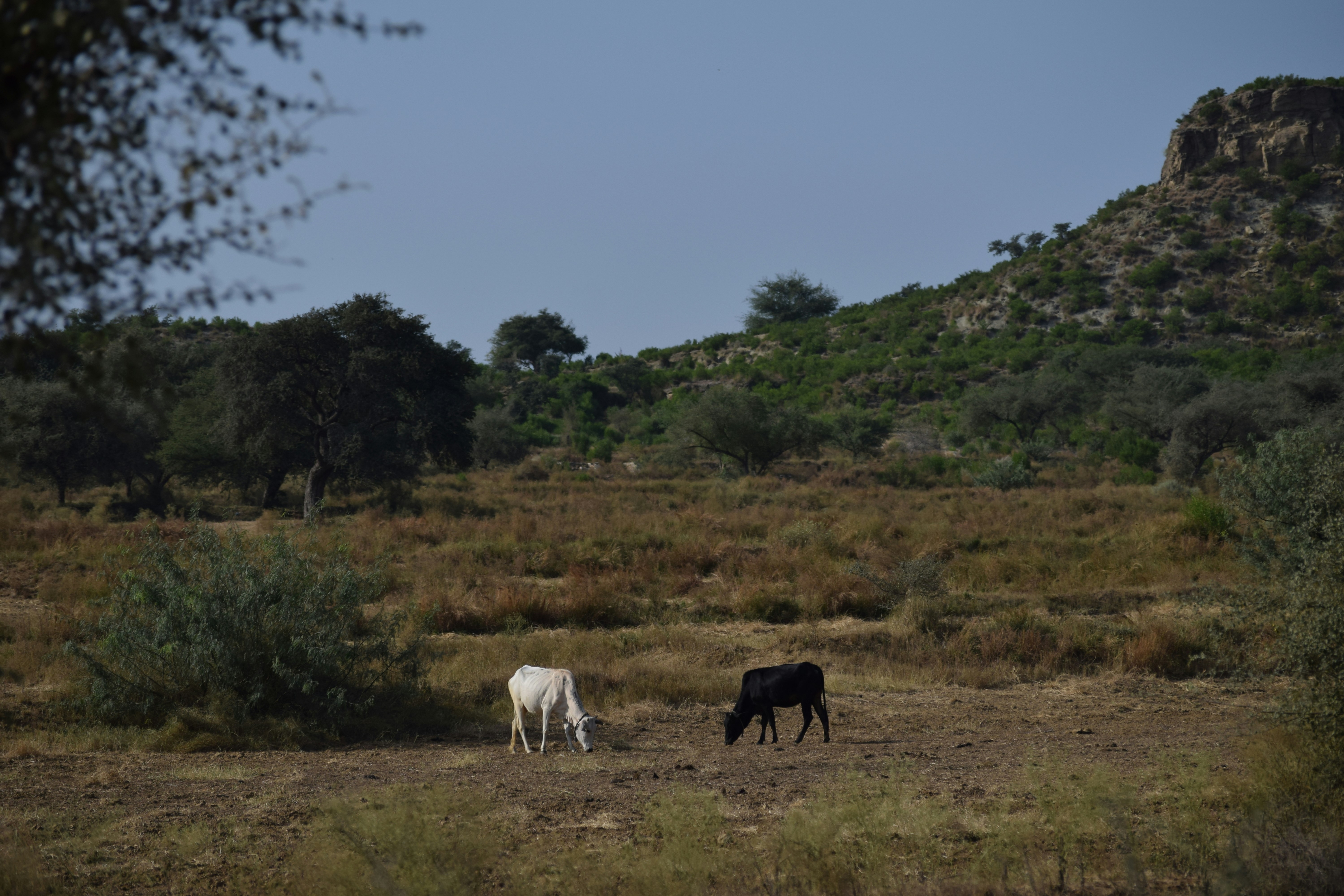 Photo by hassaan_tahir