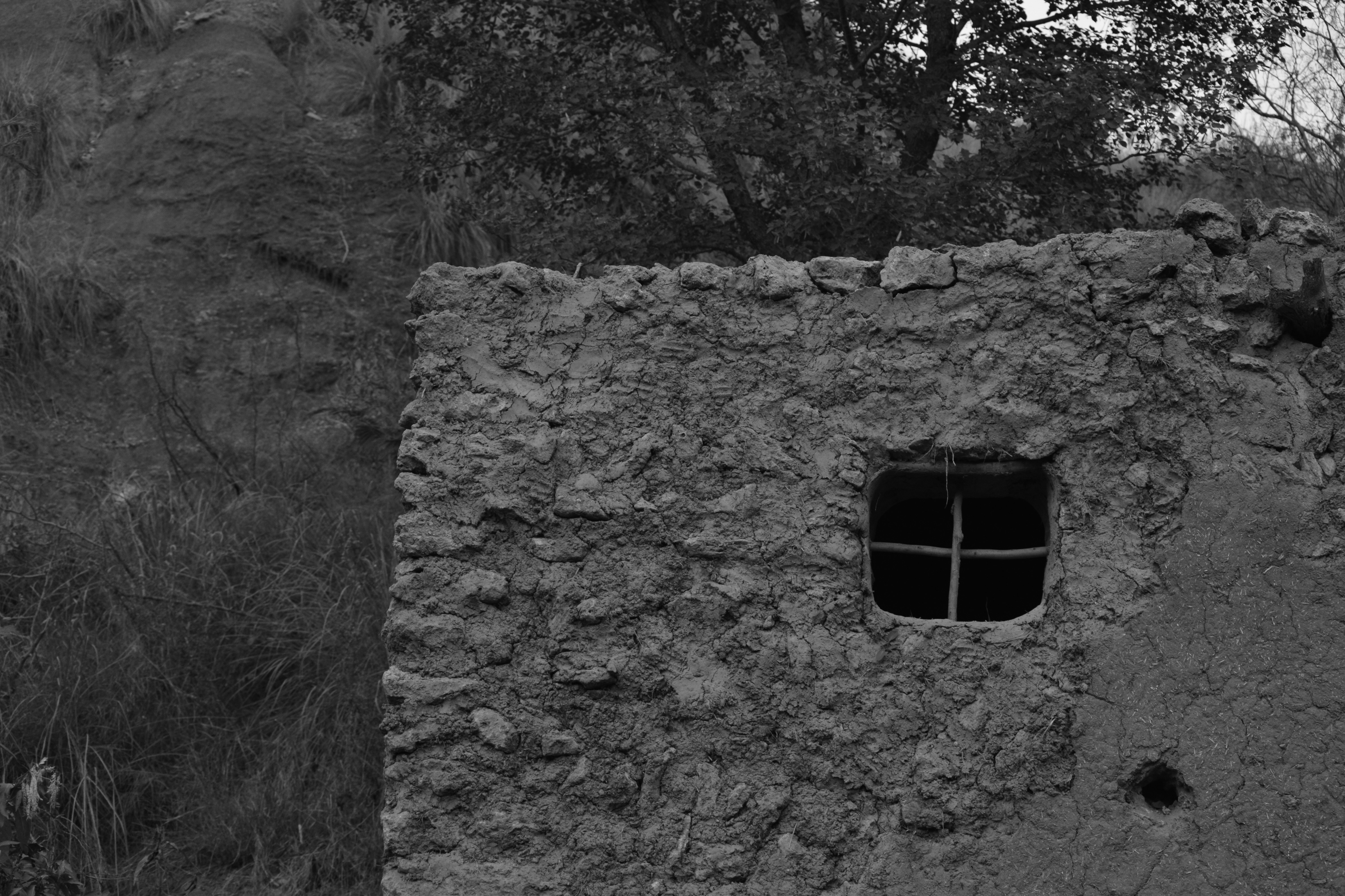 Photo by hassaan_tahir