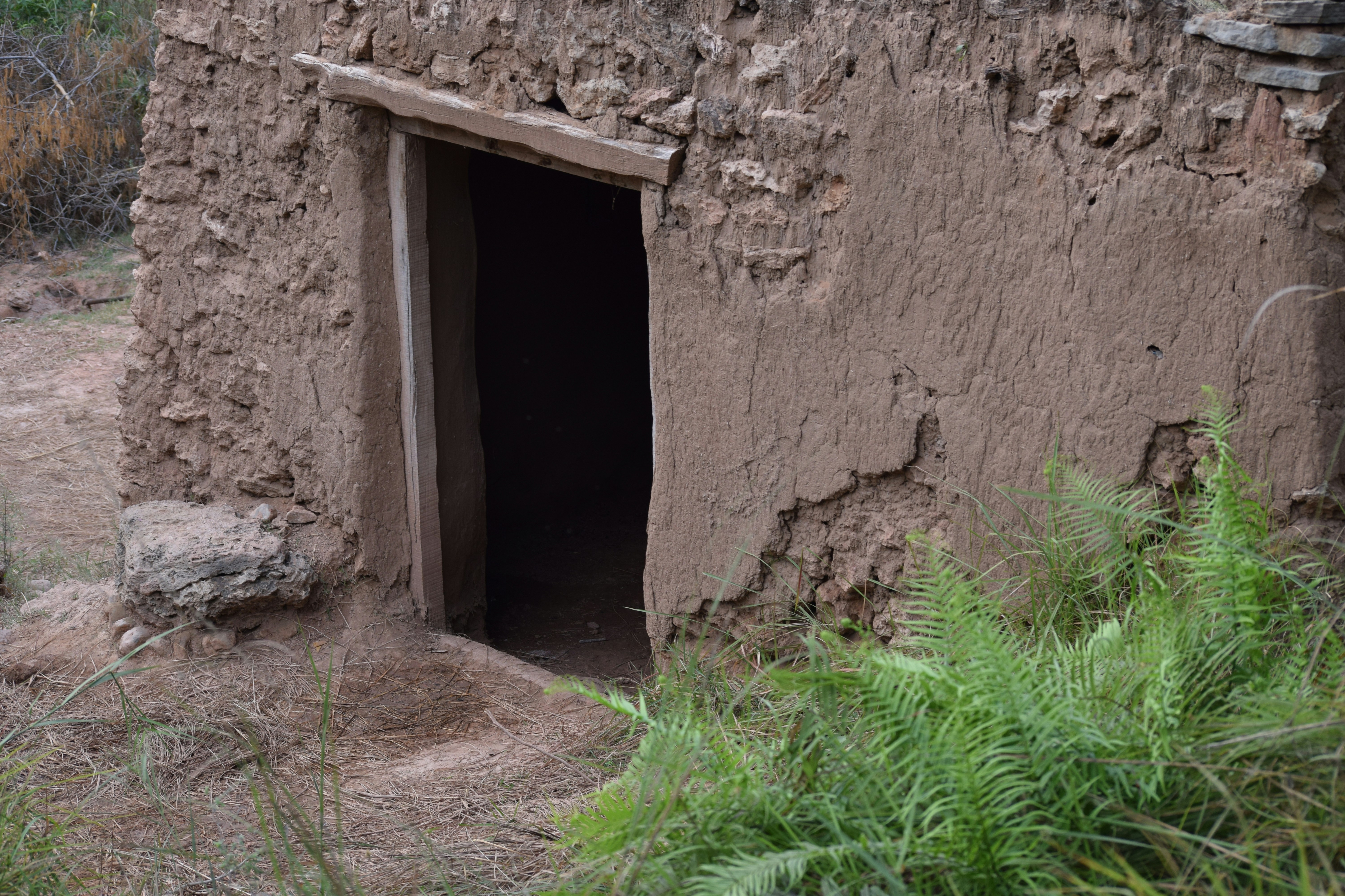 termite damage to home foundation - termite treatment service in trinity, tx