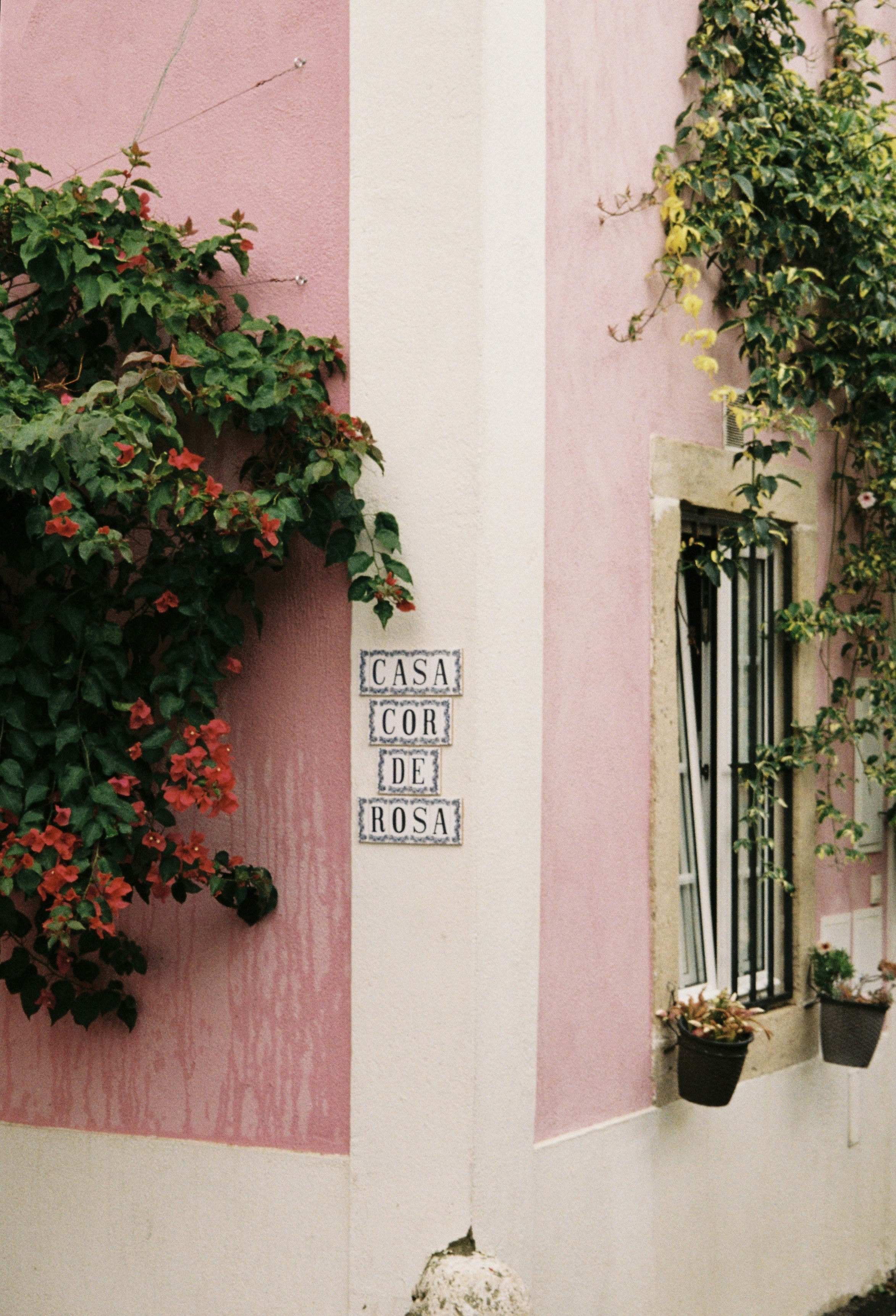 Photo by amina_frther