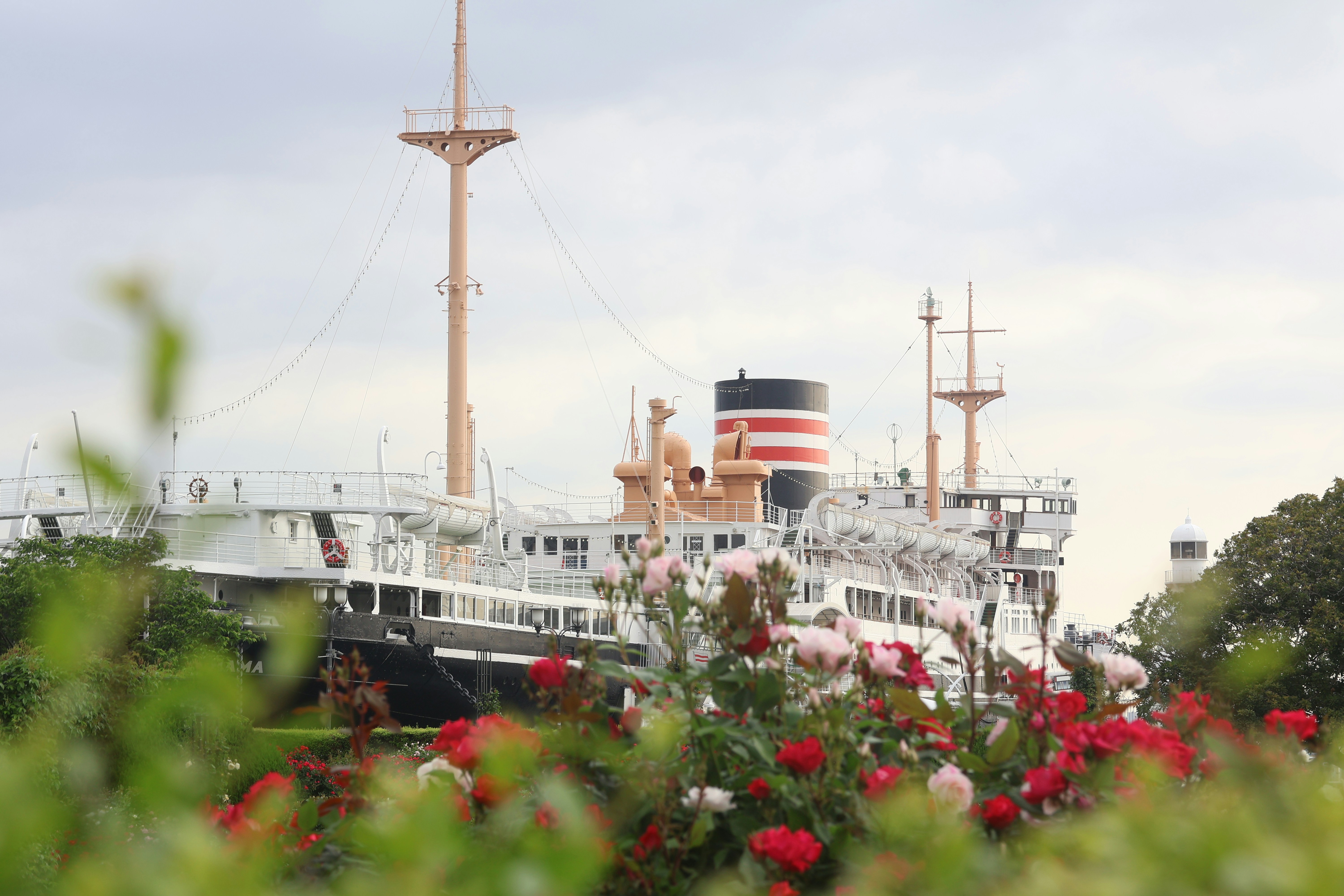 Large ship docked with flowers in foreground