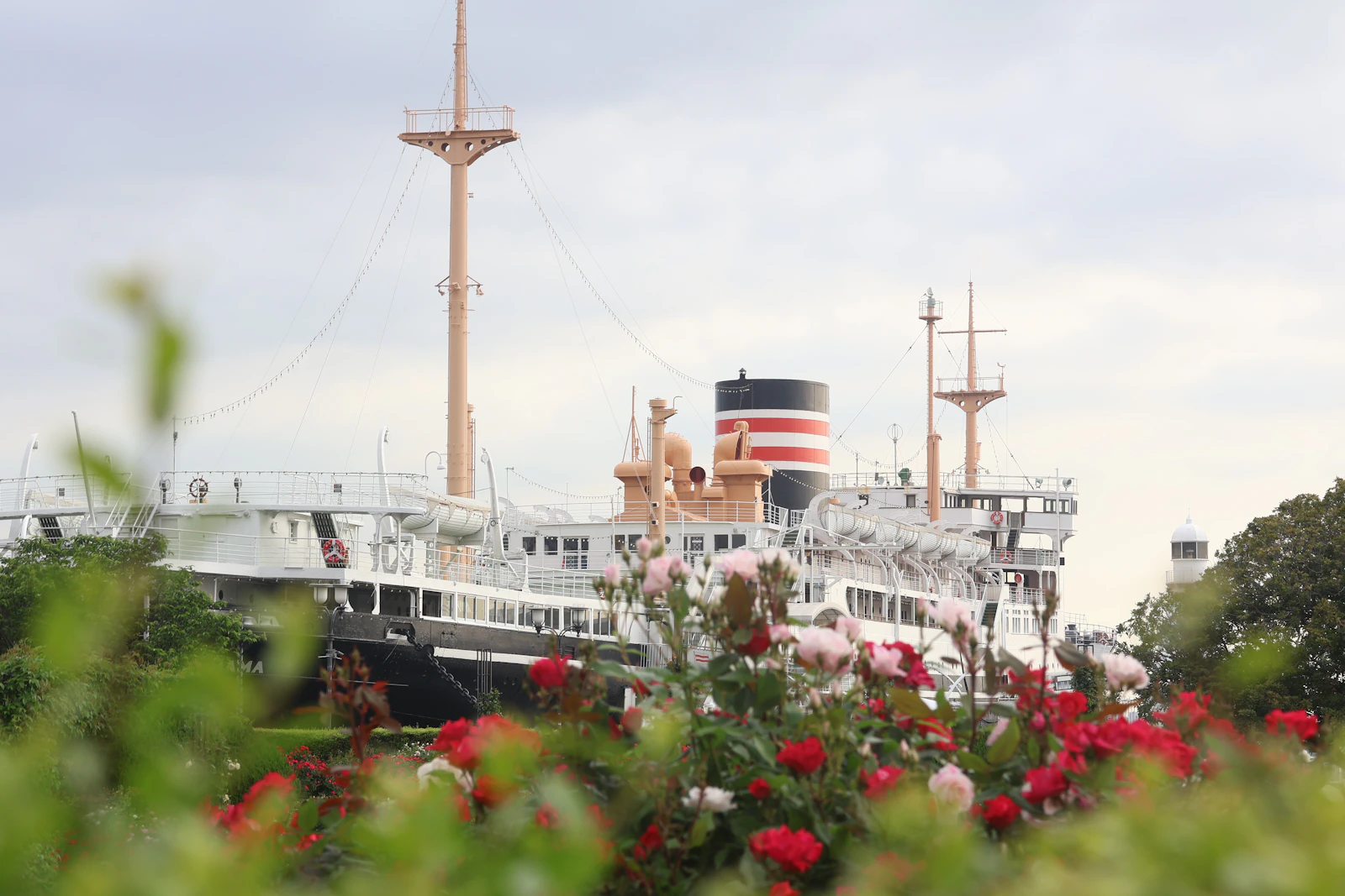 Flowers and the Hikawa Maru ocean liner viewed from Yamashita Park
