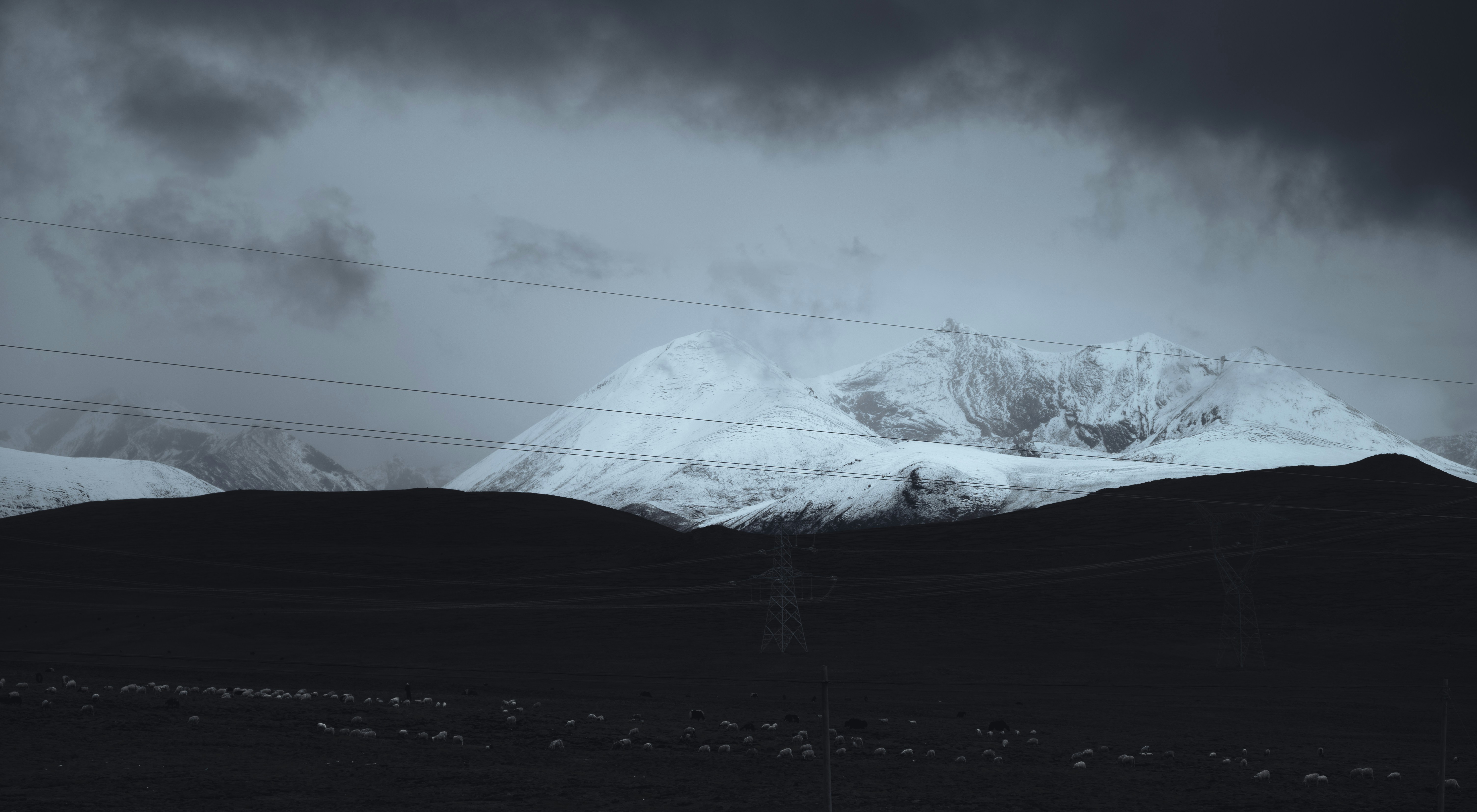 Photo by nikol_royce