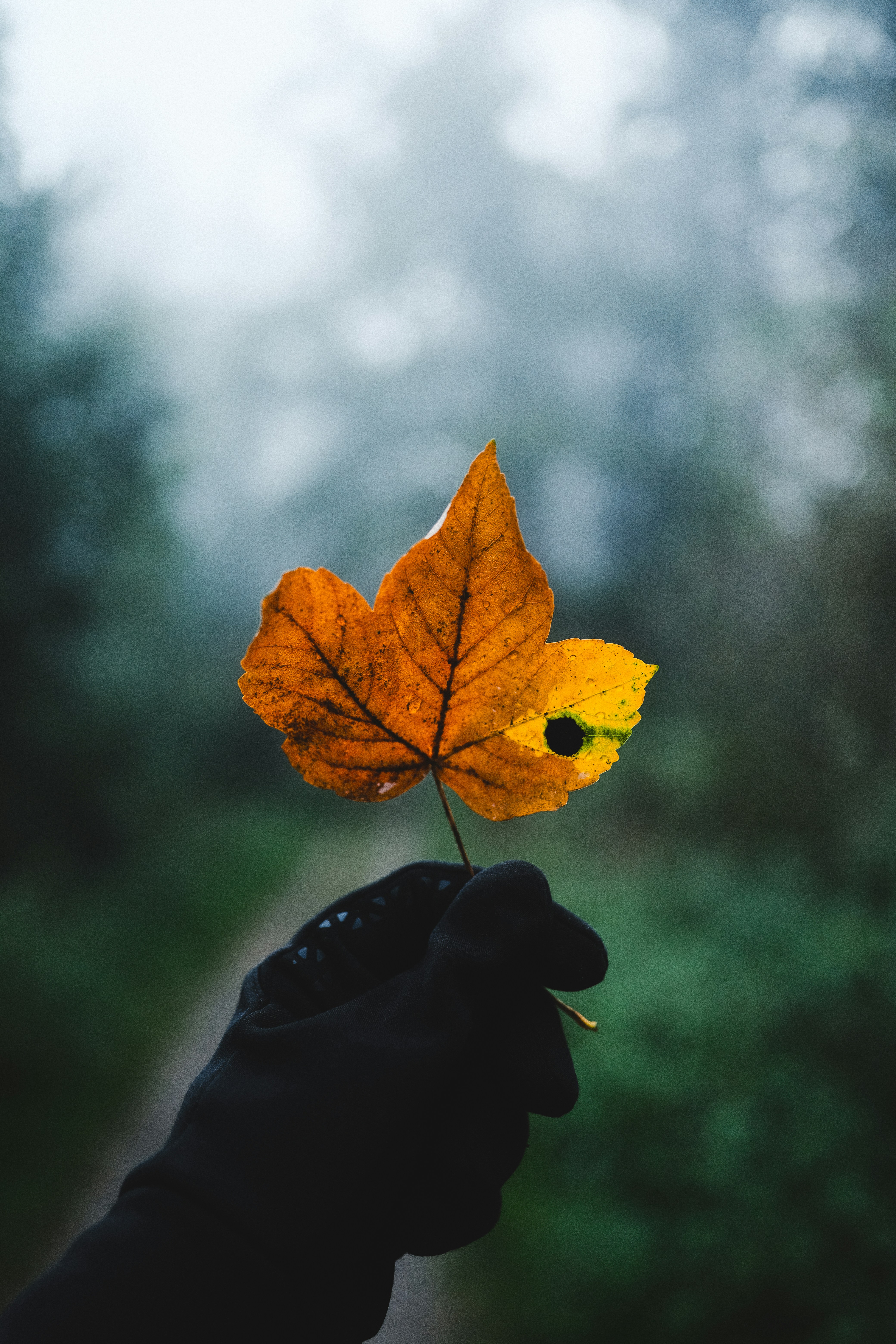 Photo by visualsbying