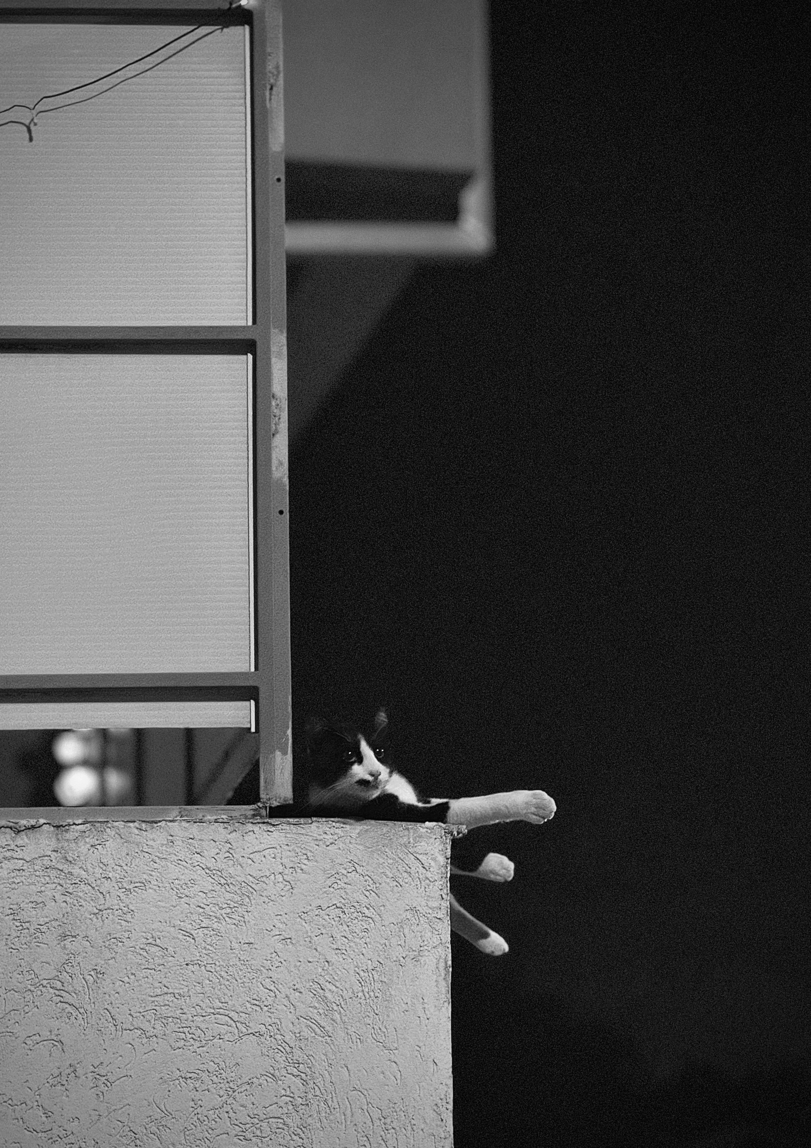 Photo by kristoferboev