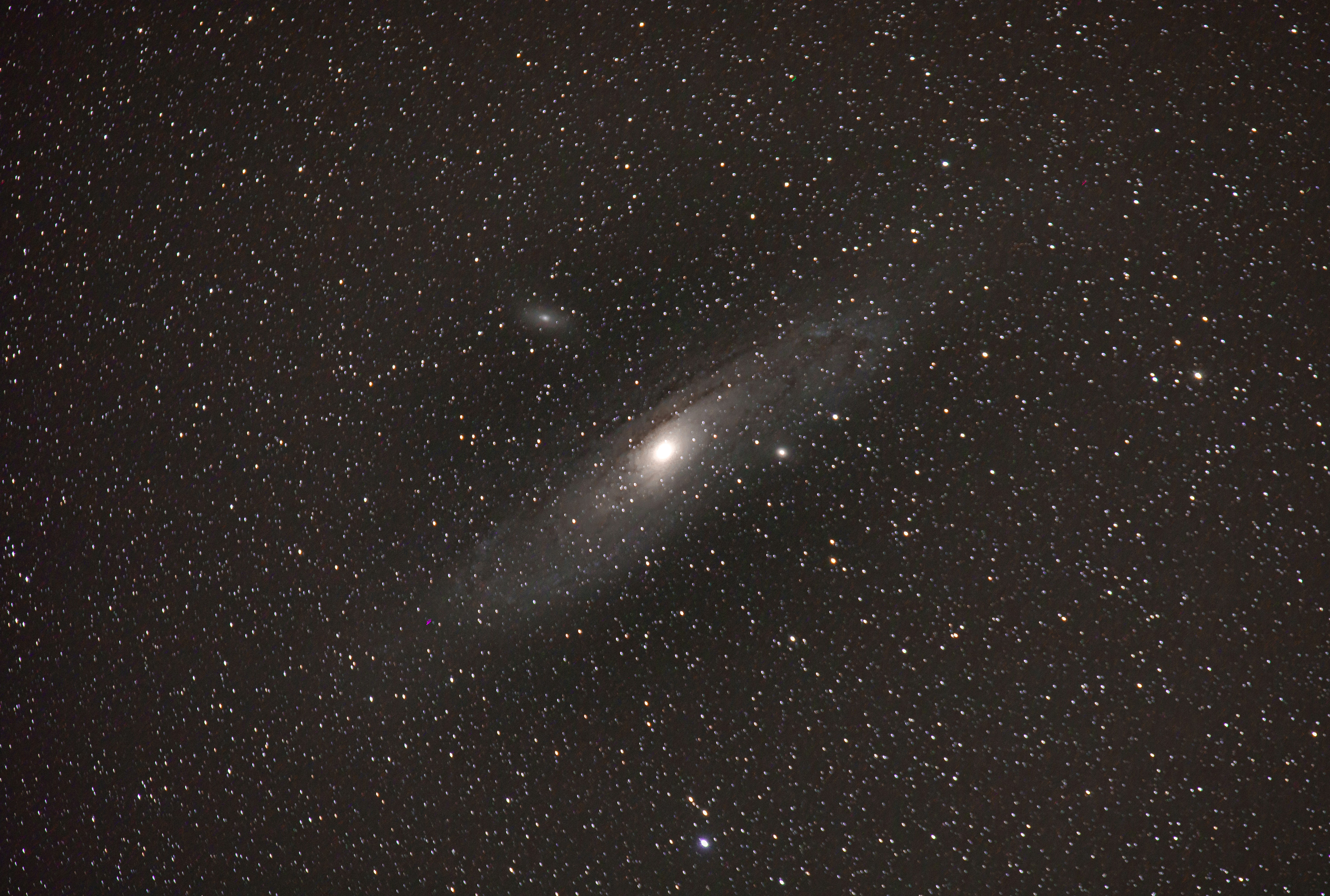 Andromeda galaxy at summer sky