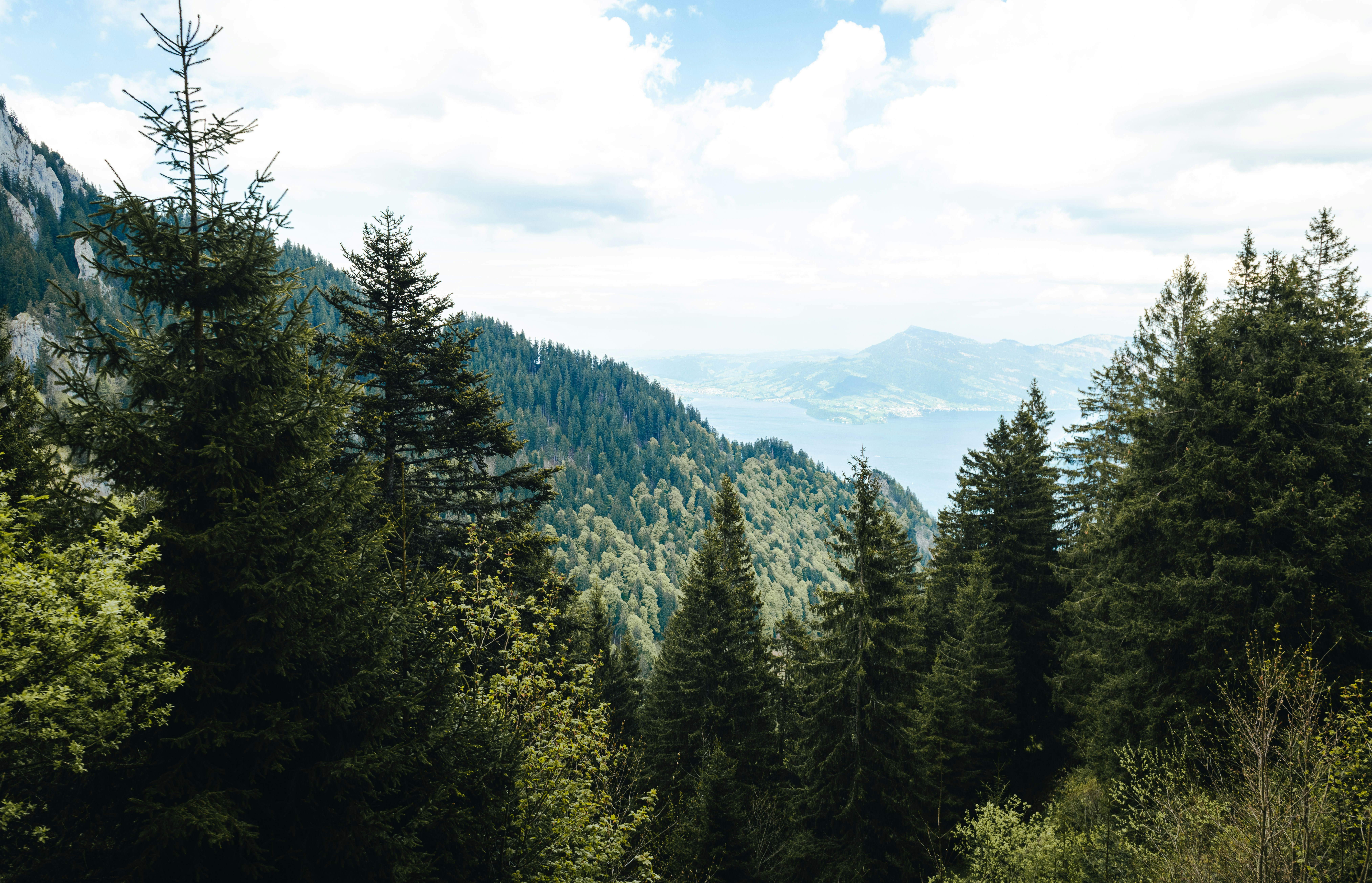 Photo by sriniunsplash