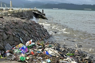 Trash litters the shoreline next to a stone wall.