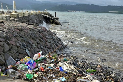 Trash litters the shoreline next to a stone wall.