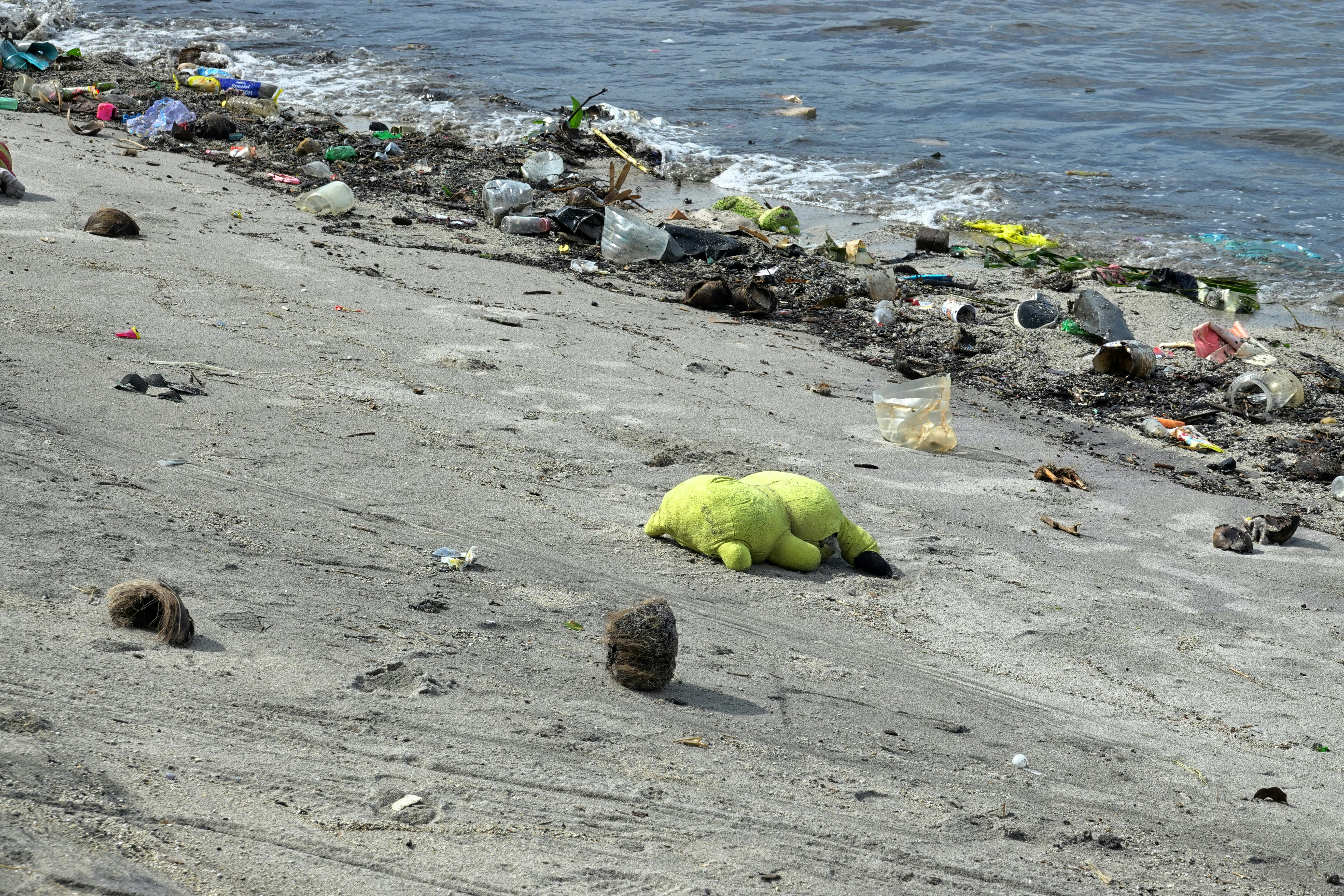 plastic waste washed up on a shoreline - disposable