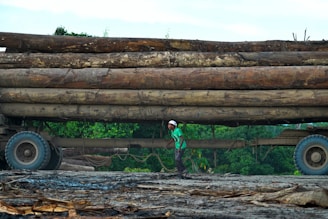 Man stands beneath massive logs on a truck trailer.