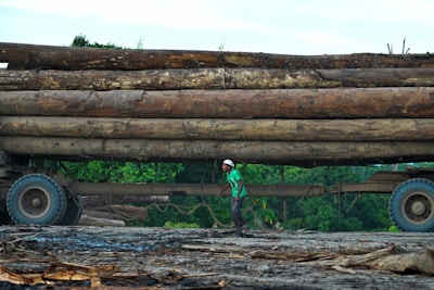 Man stands beneath massive logs on a truck trailer.
