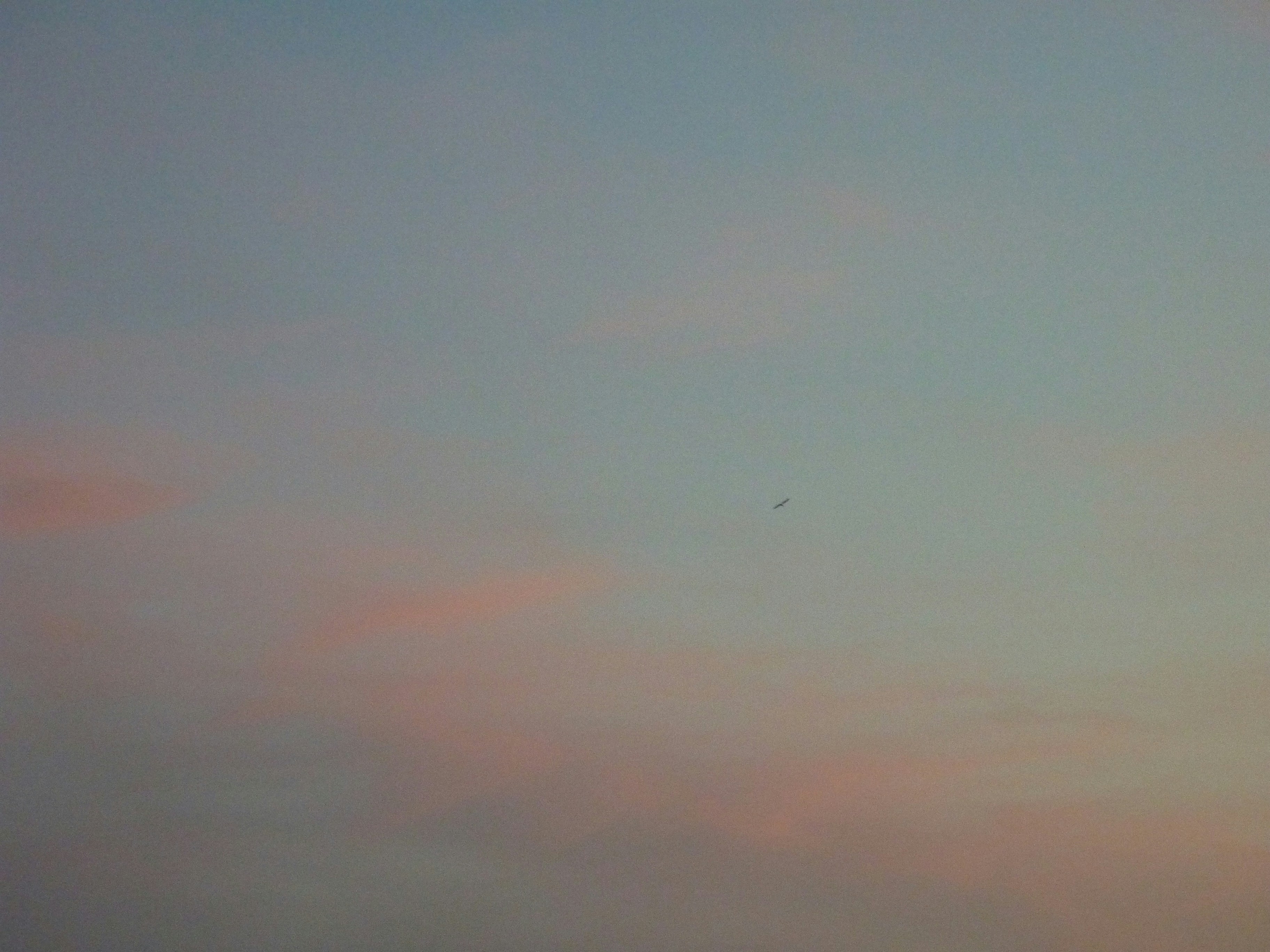 Photo by manglisamochi