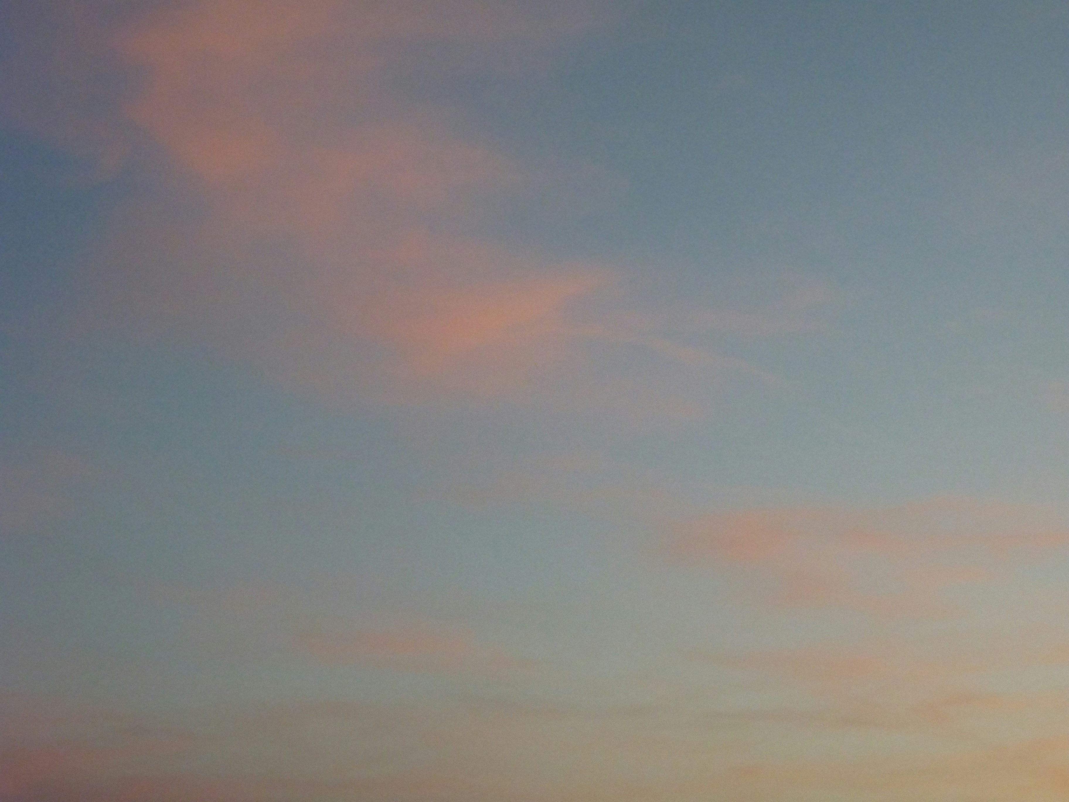 Nobel Peace Prize Snub: Trump Loses Out to Venezuelan Opposition Leader