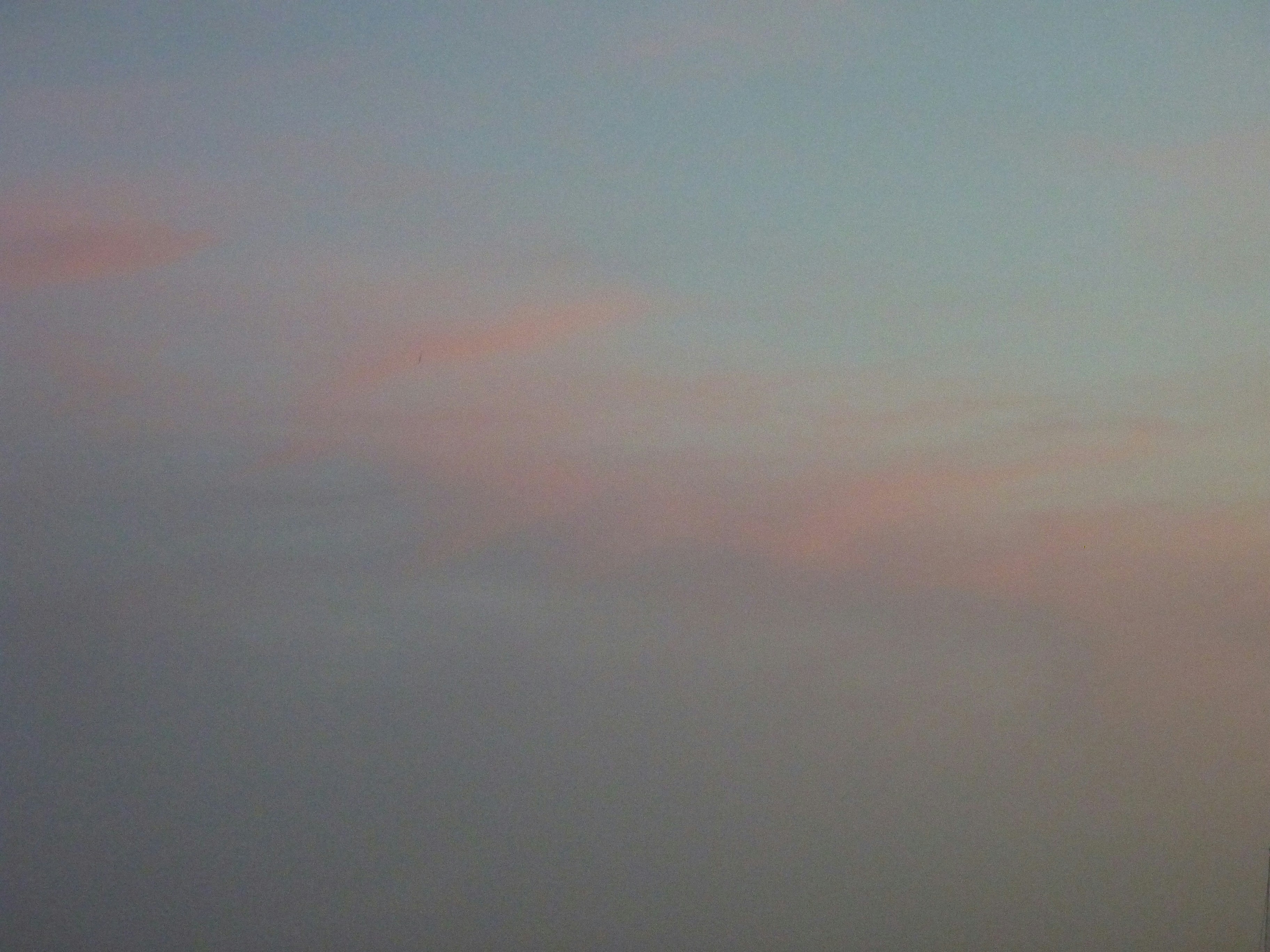 Photo by manglisamochi